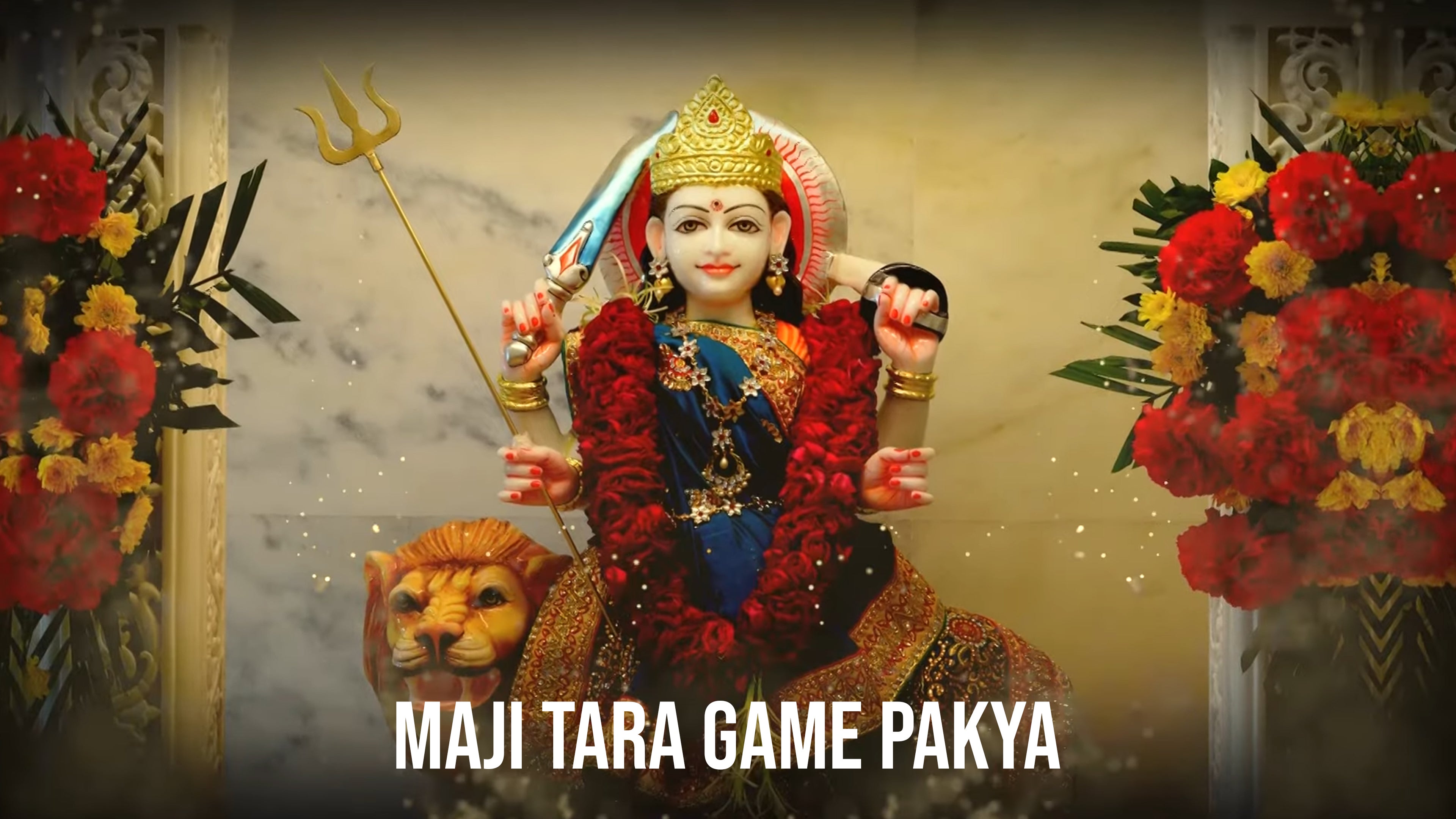 माजी तारा गेम पक्या