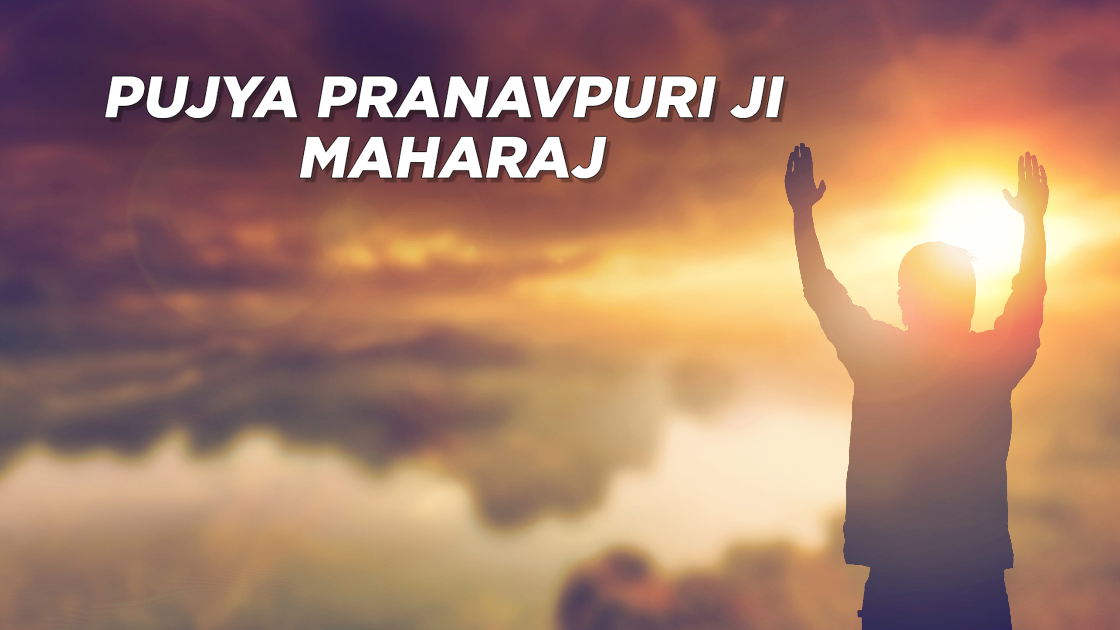 पूज्य प्रणवपुरी जी महाराज