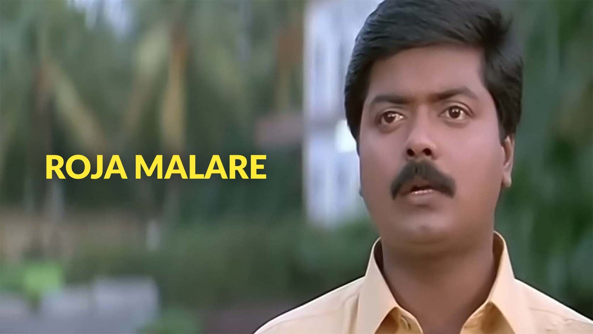 ரோஜா மலரே