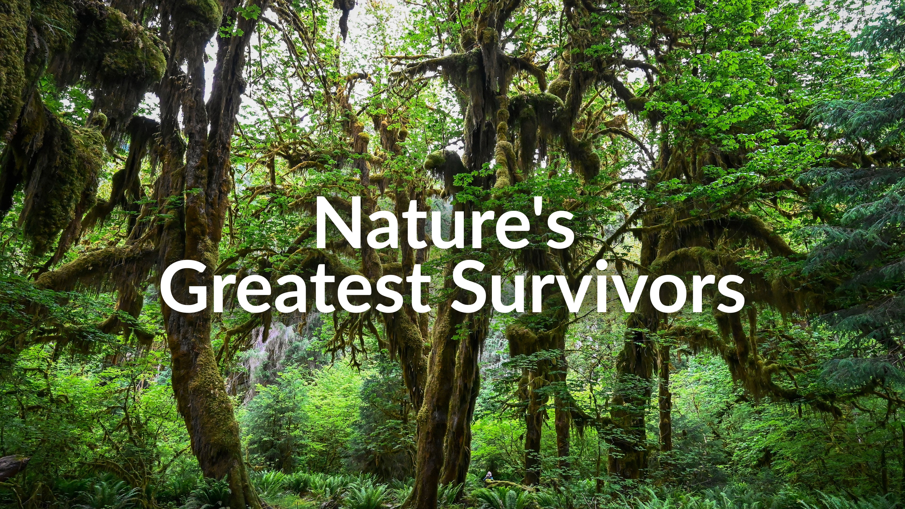 Nature's Greatest Survivors