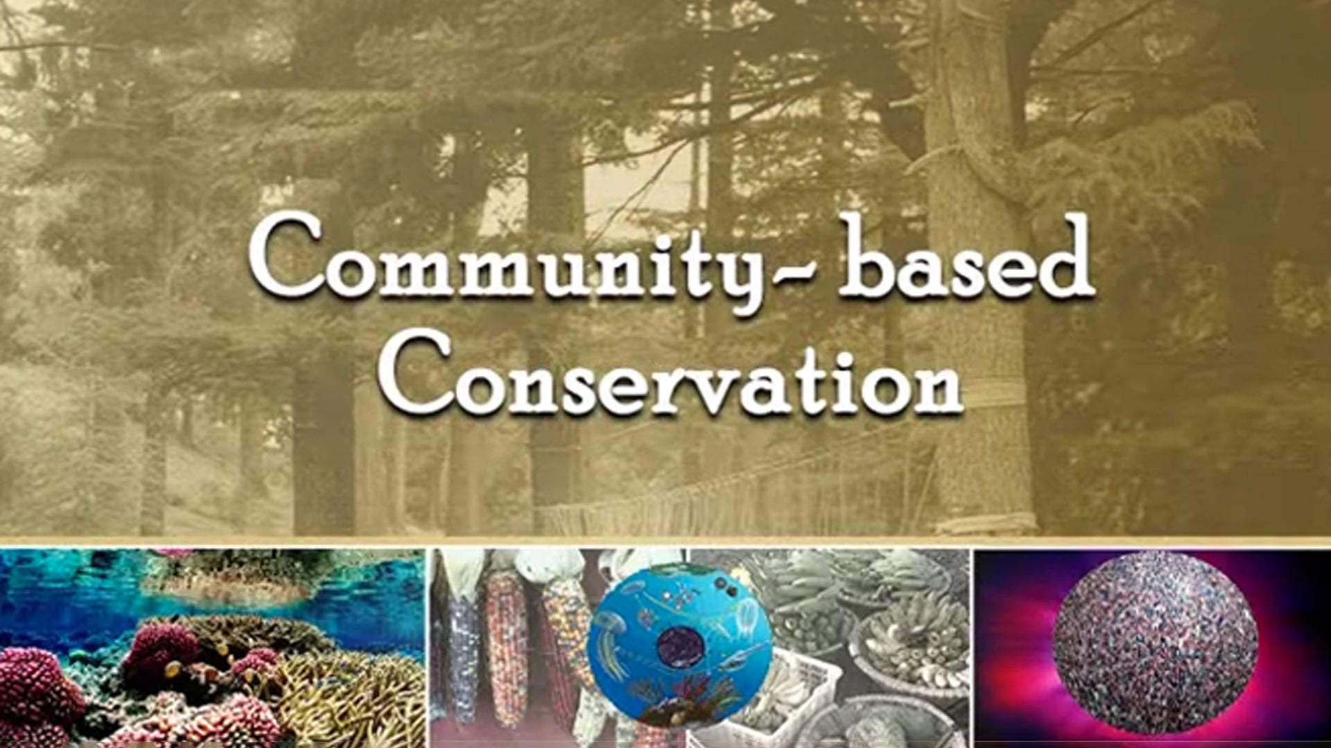 कम्यूनिटी बेस्ड कंजर्वेशन