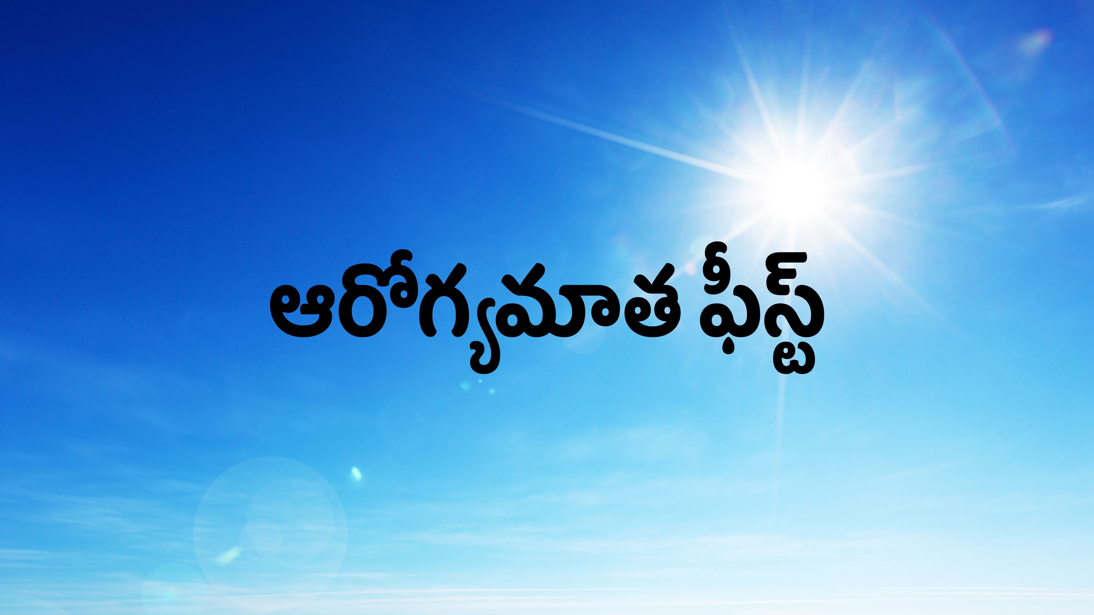 ఆరోగ్యమాత ఫీస్ట్