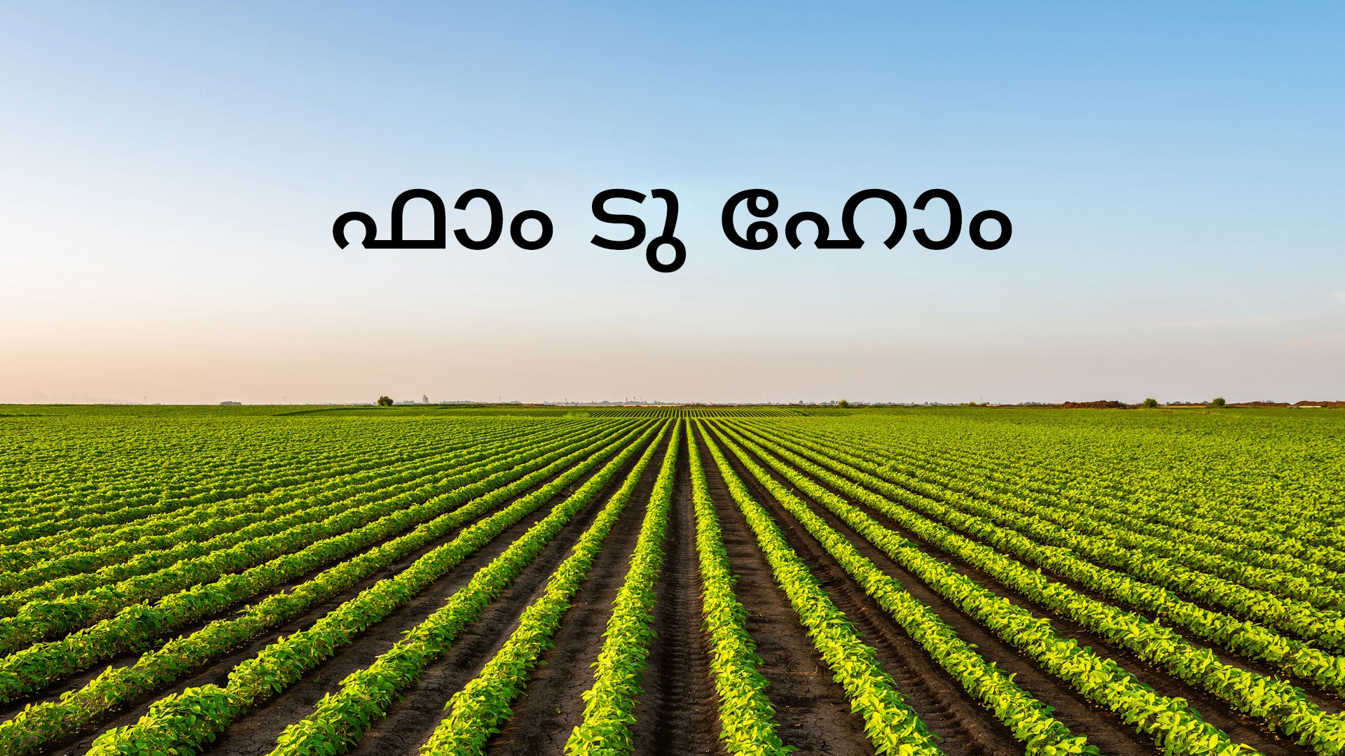 Farm To Home