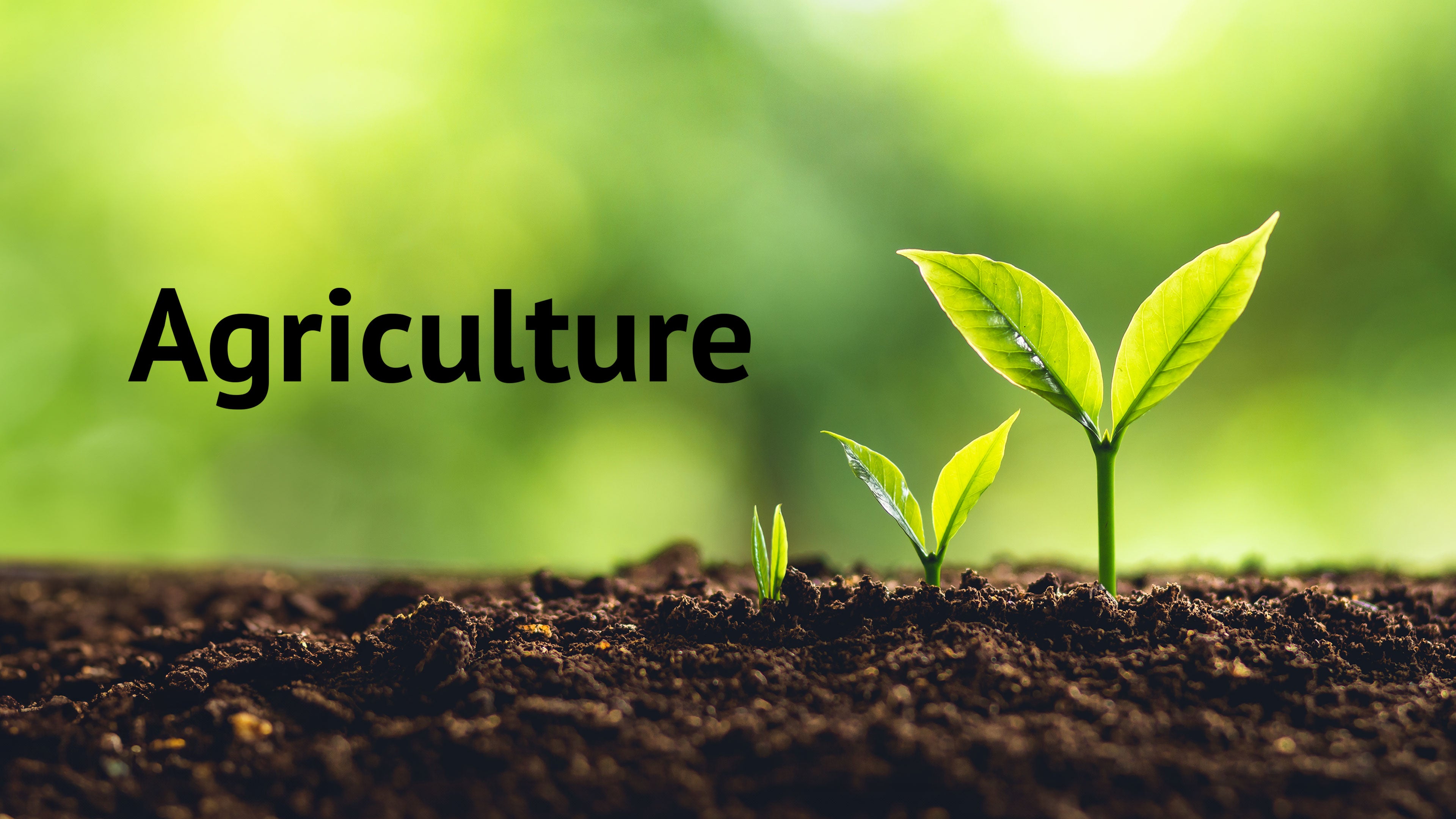 Agriculture
