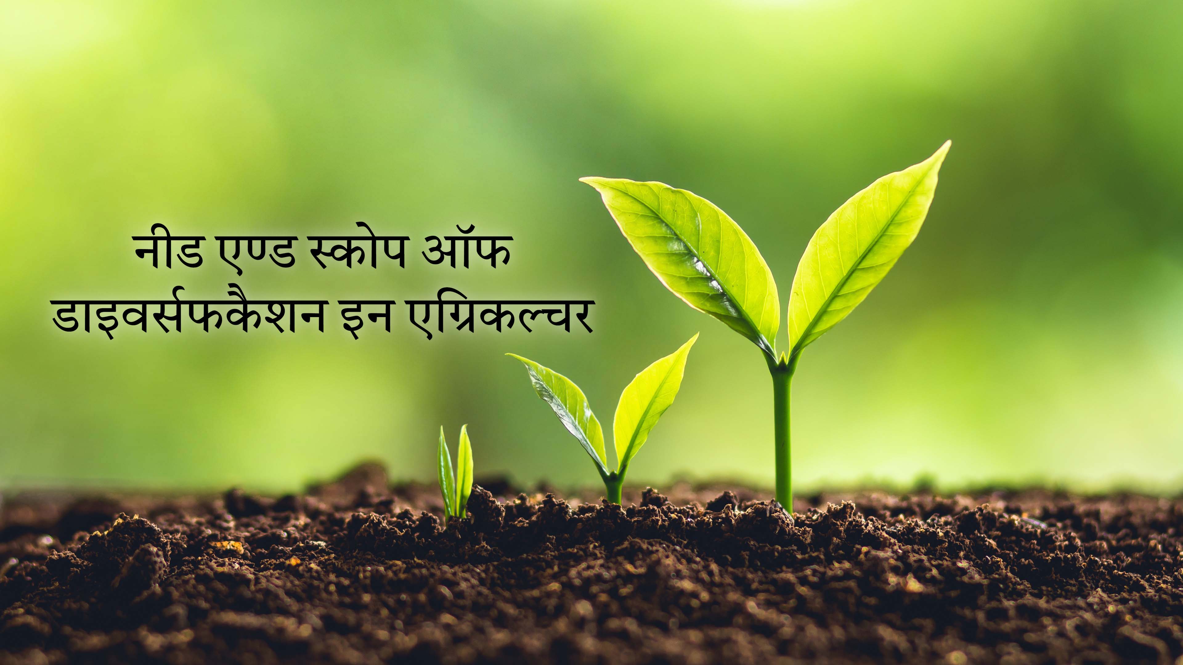 नीड एण्ड स्कोप ऑफ डाइवर्सफकैशन इन एग्रिकल्चर