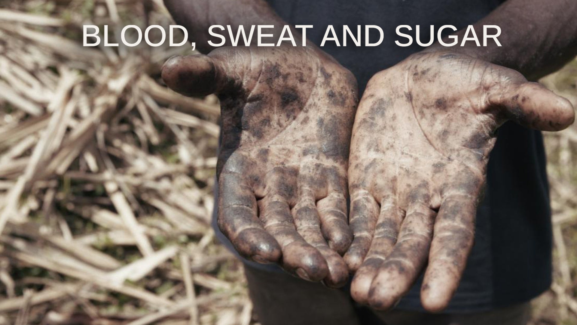 Blood, Sweat and Sugar