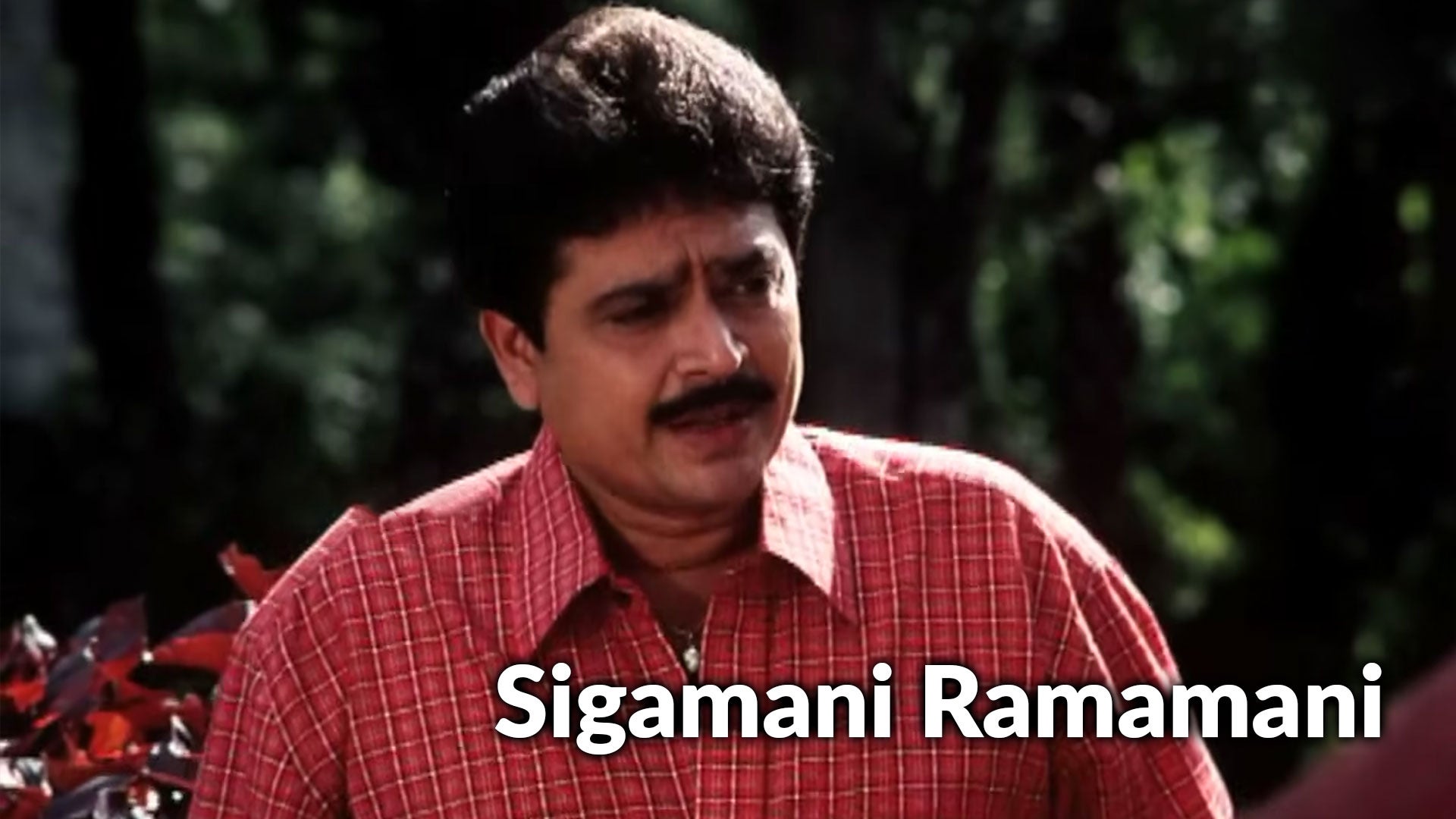 சிகாமணி ரமாமணி