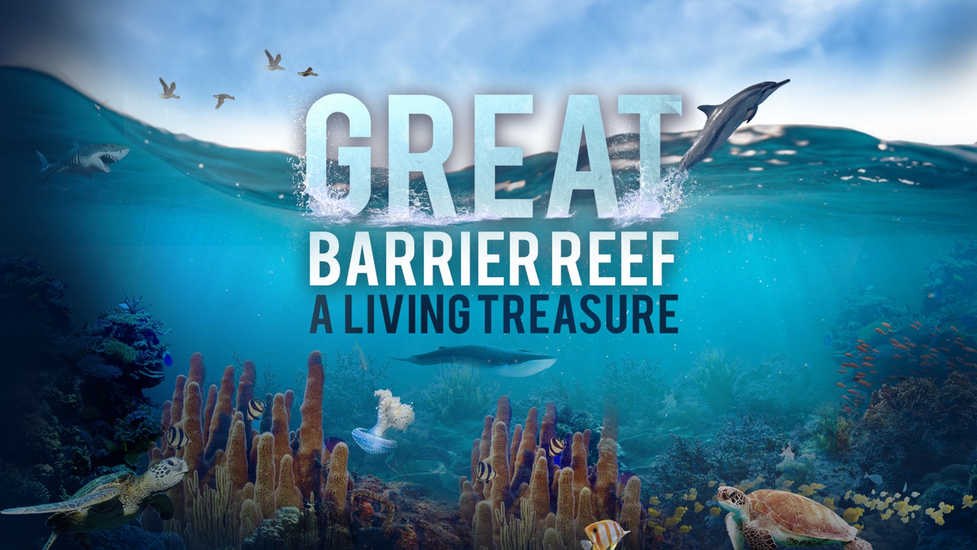 Great Barrier Reef: A Living Treasure