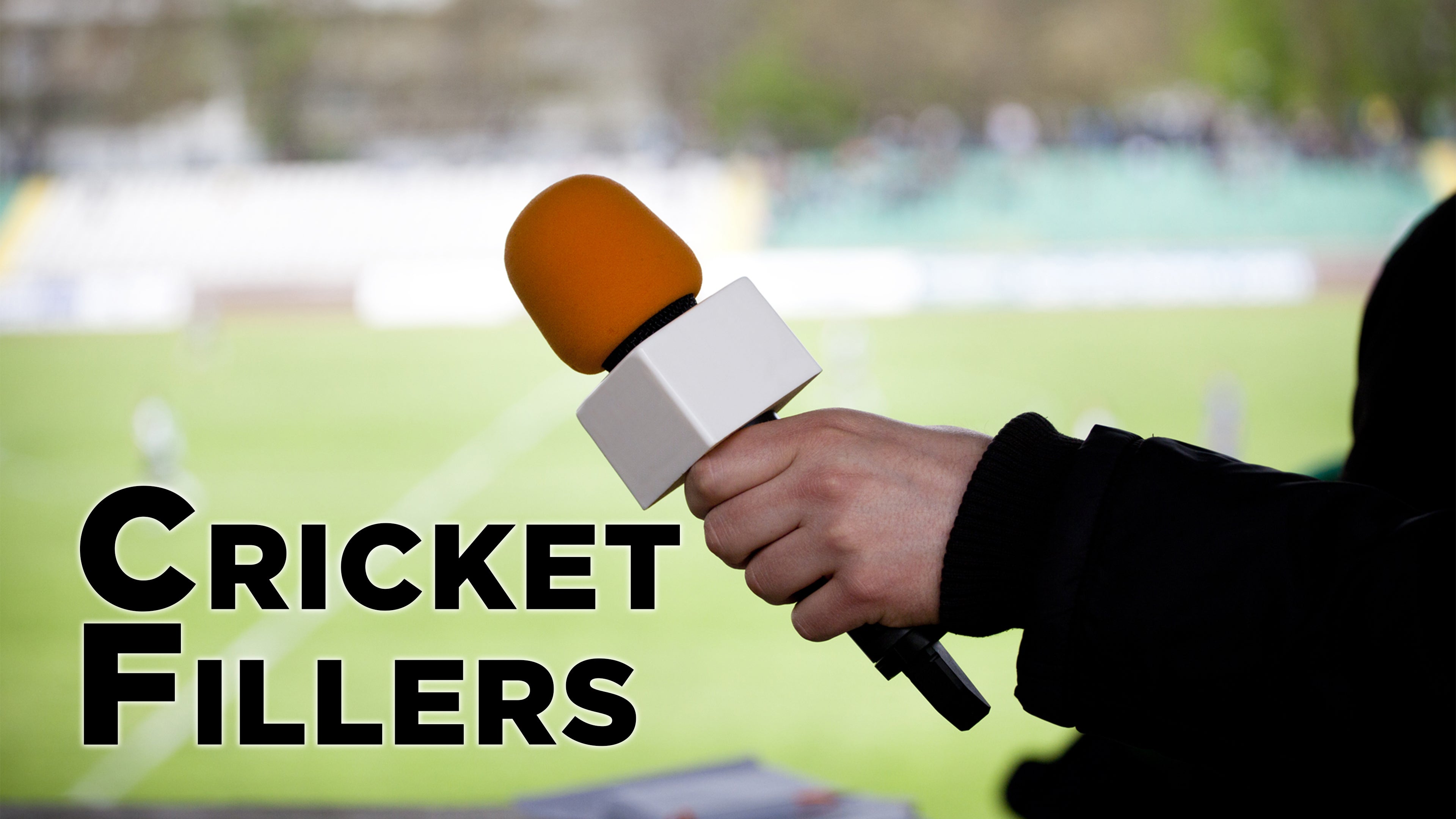 Cricket Fillers