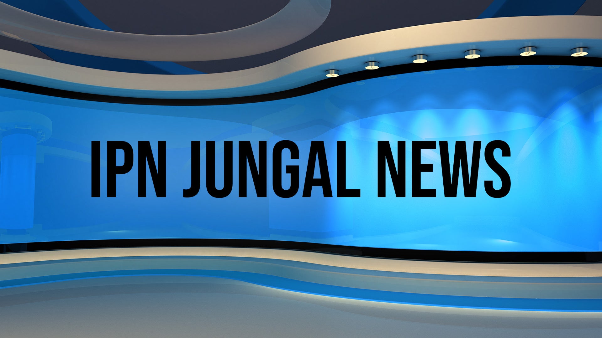 IPN Jungal News