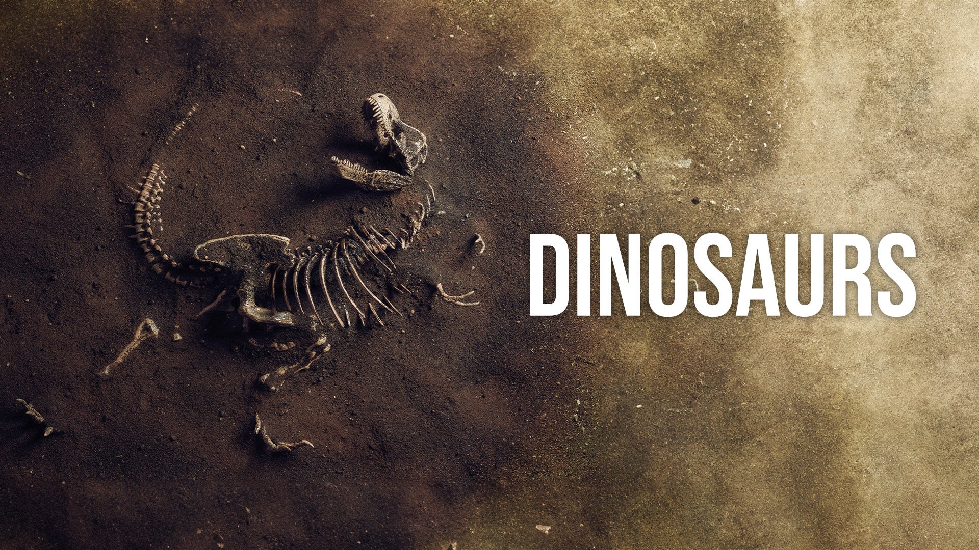 Dinosaurs