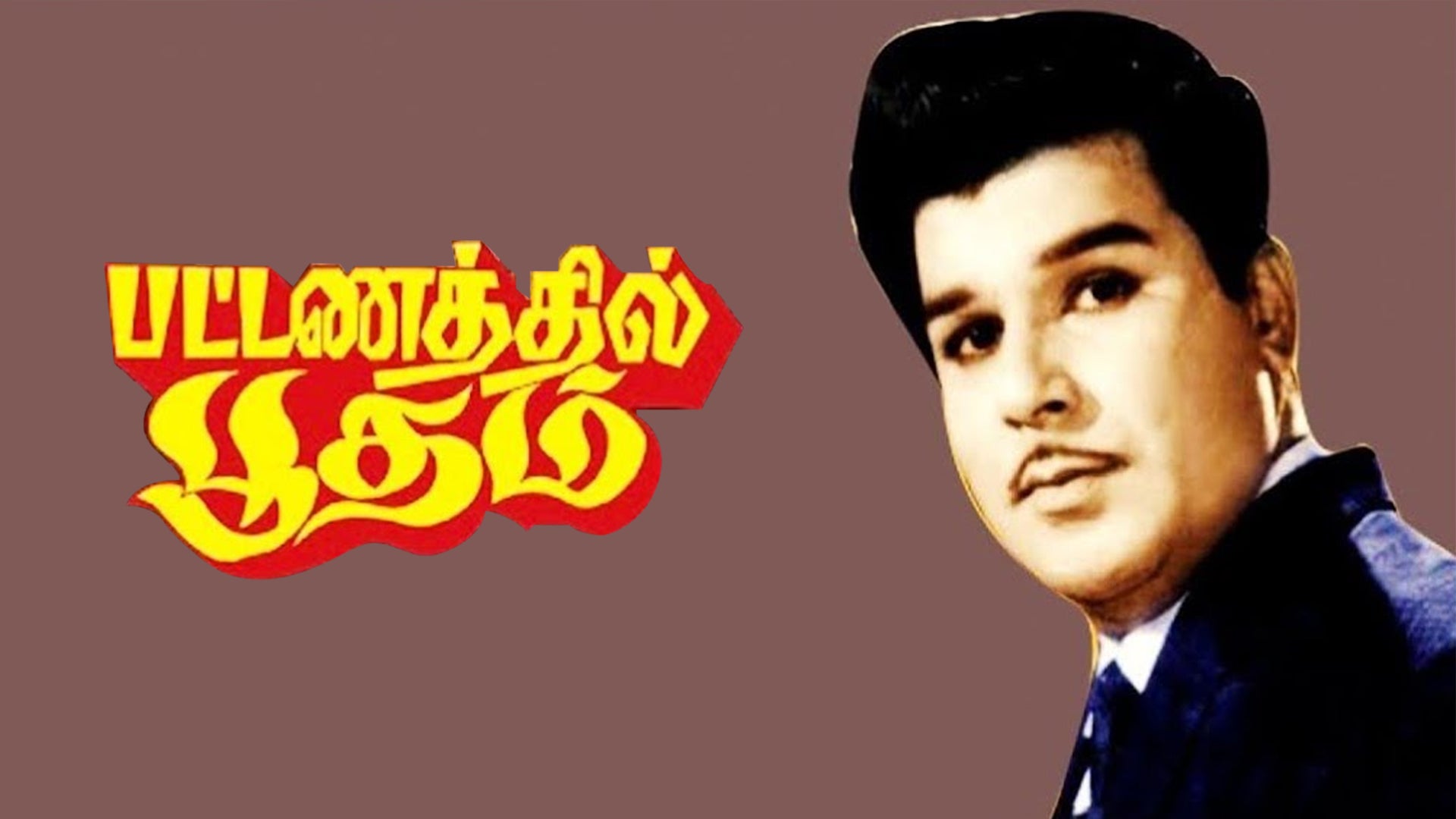 பட்டணத்தில் பூதம்