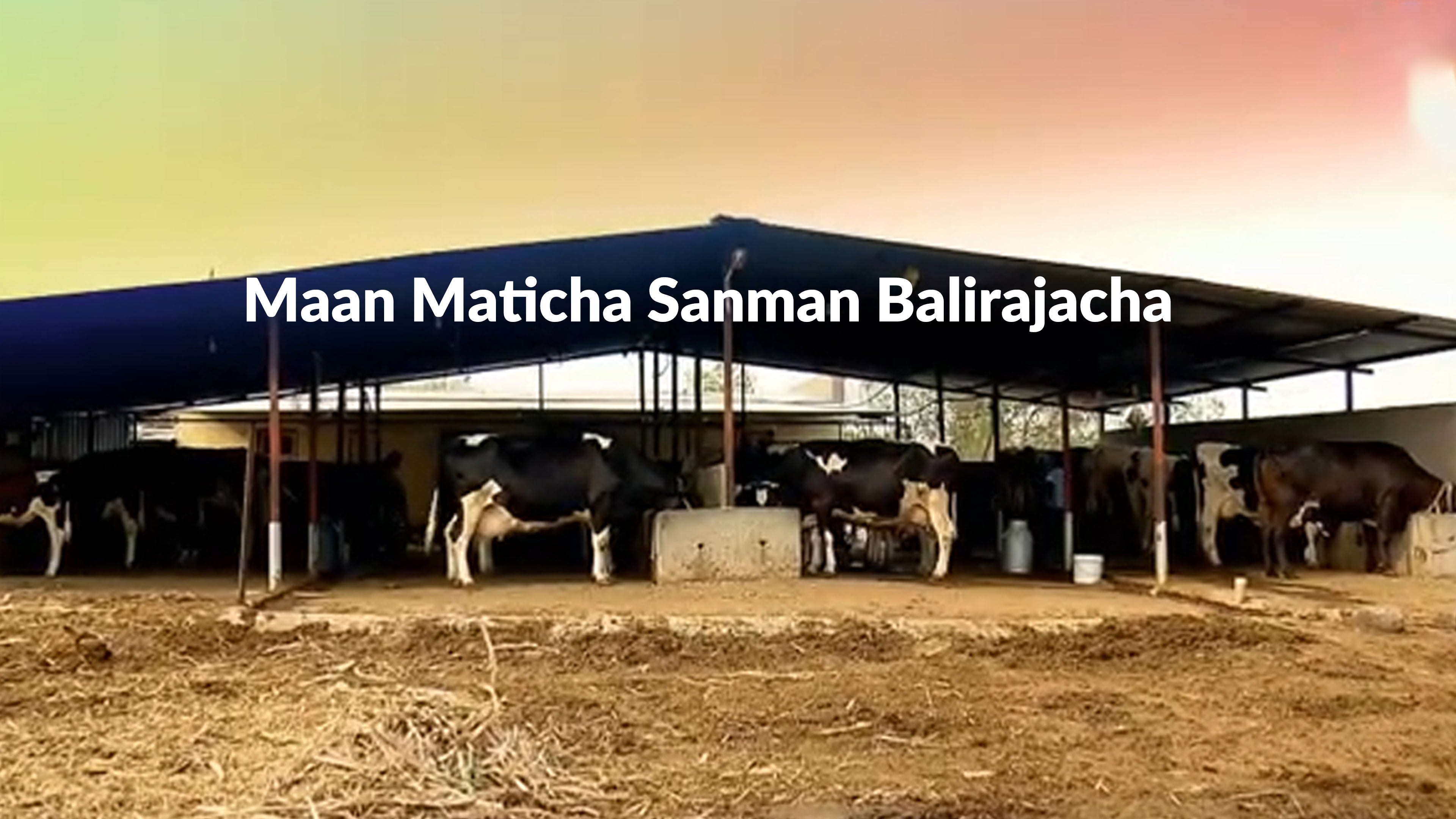 Maan Maticha Sanman Balirajacha