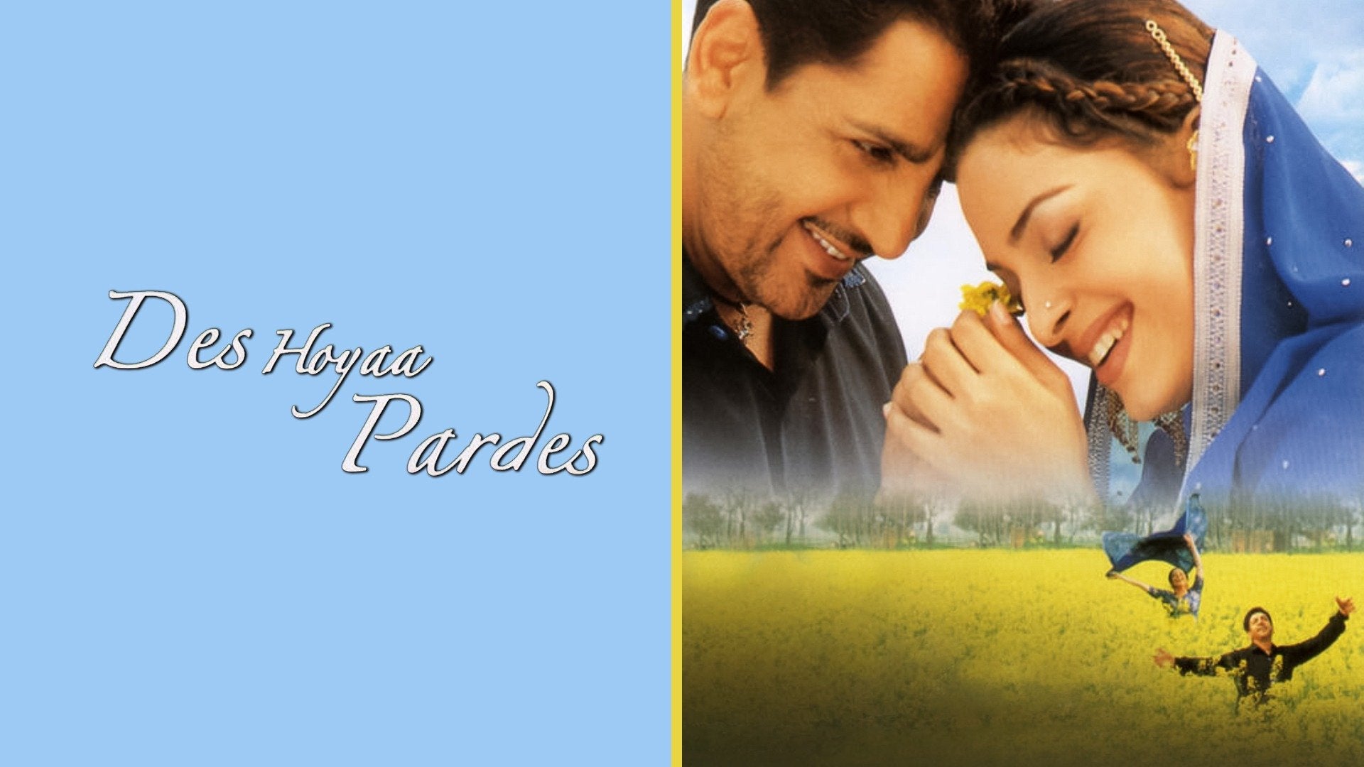 Des Hoyaa Pardes