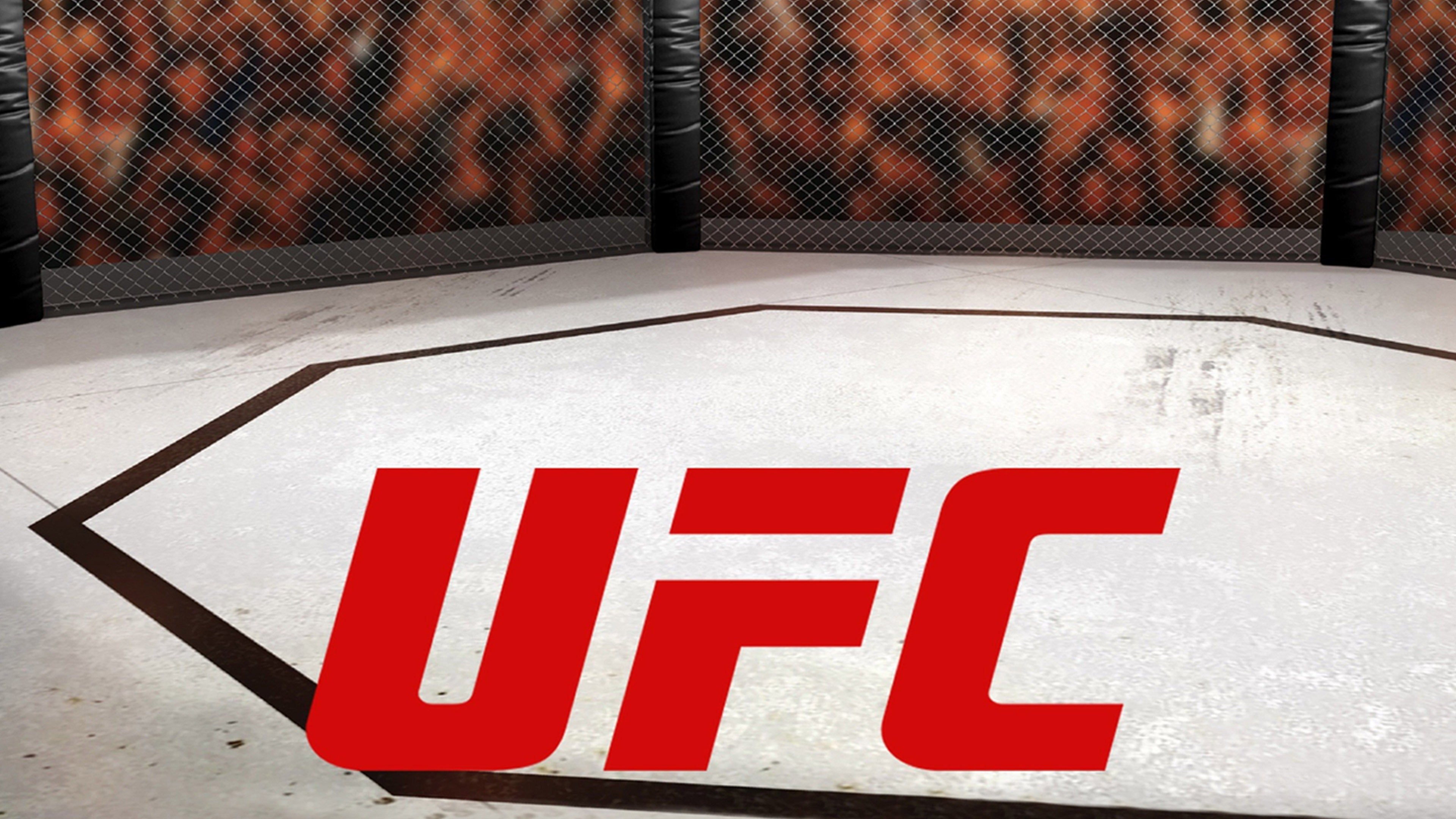 The Ultimate Fighting Championship