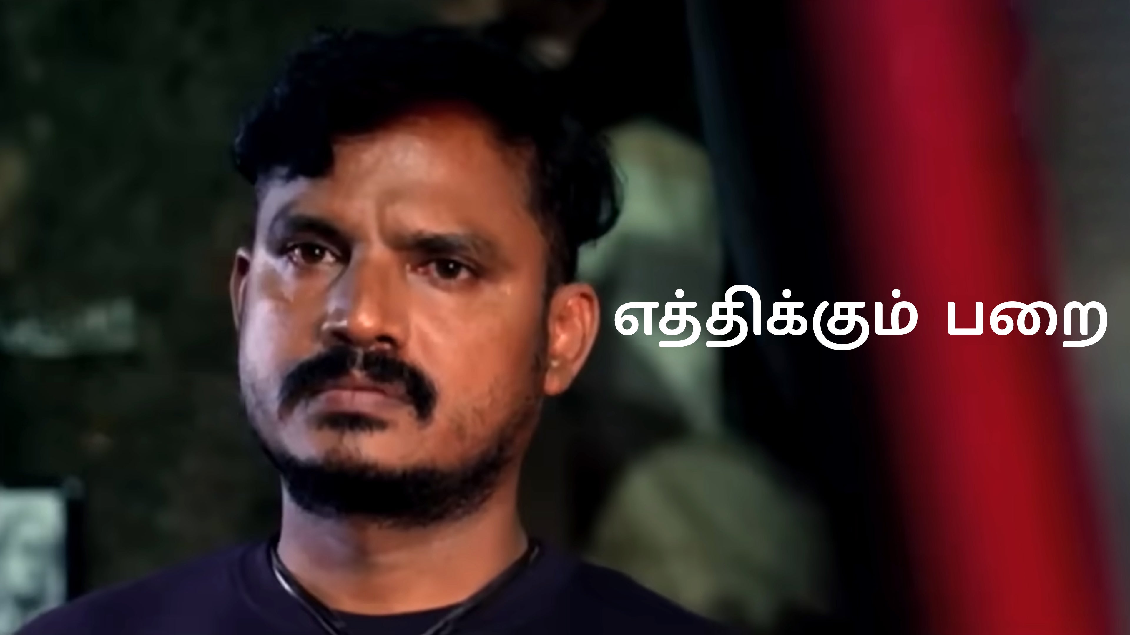 எத்திக்கும் பறை
