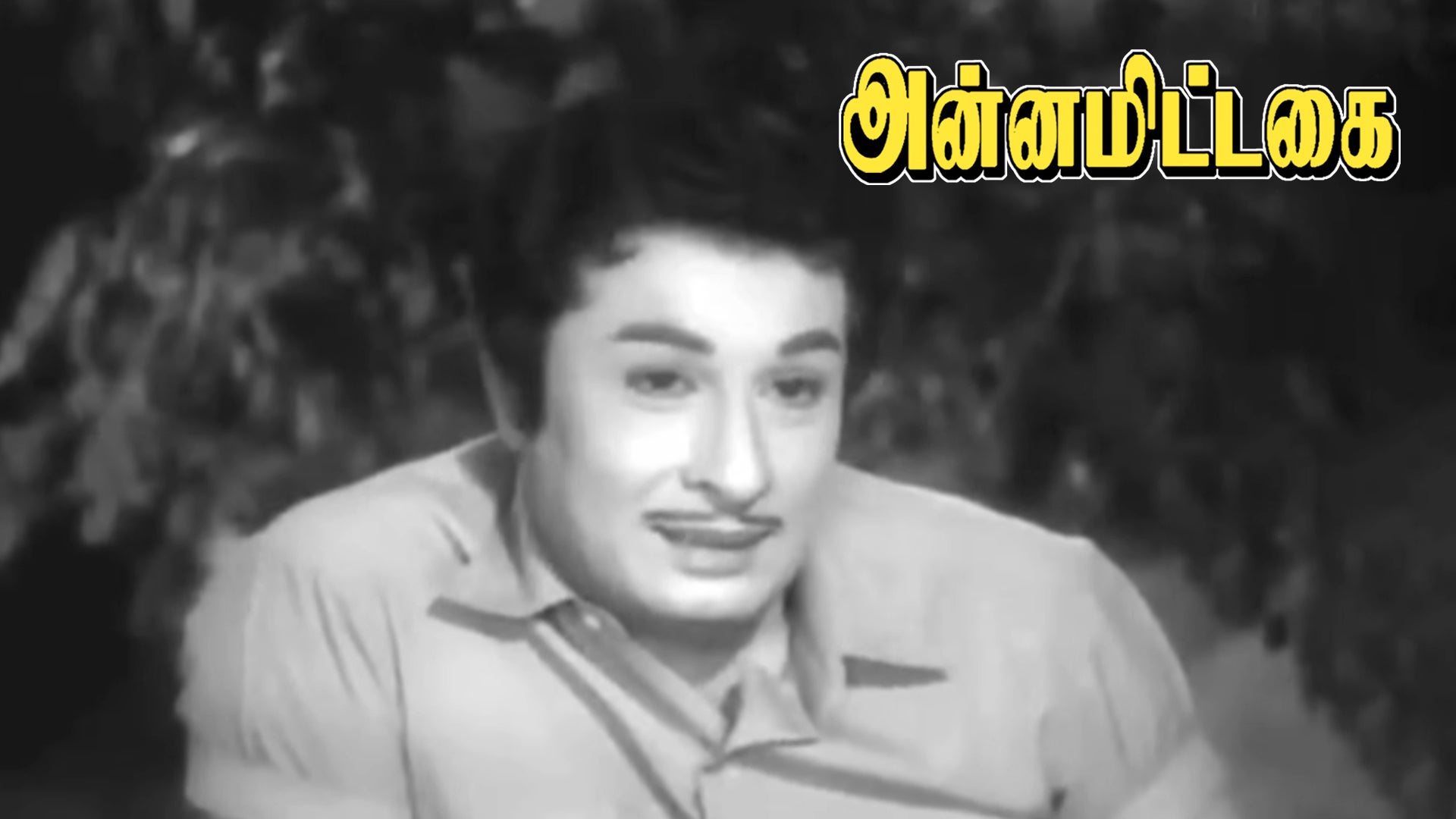 அன்னமிட்ட கை
