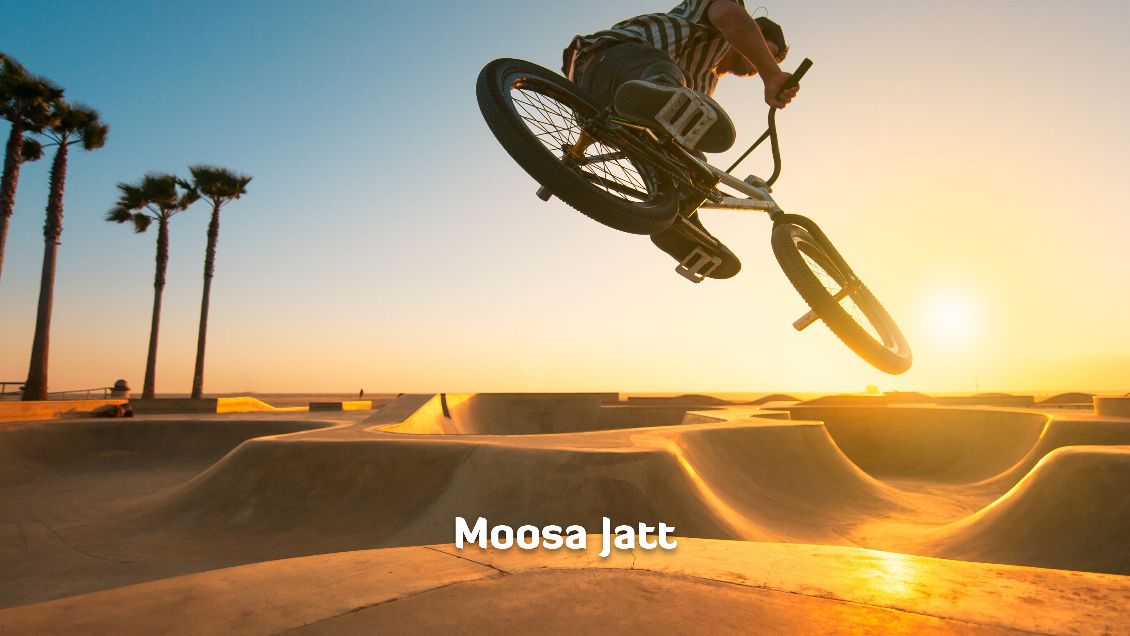 Moosa Jatt