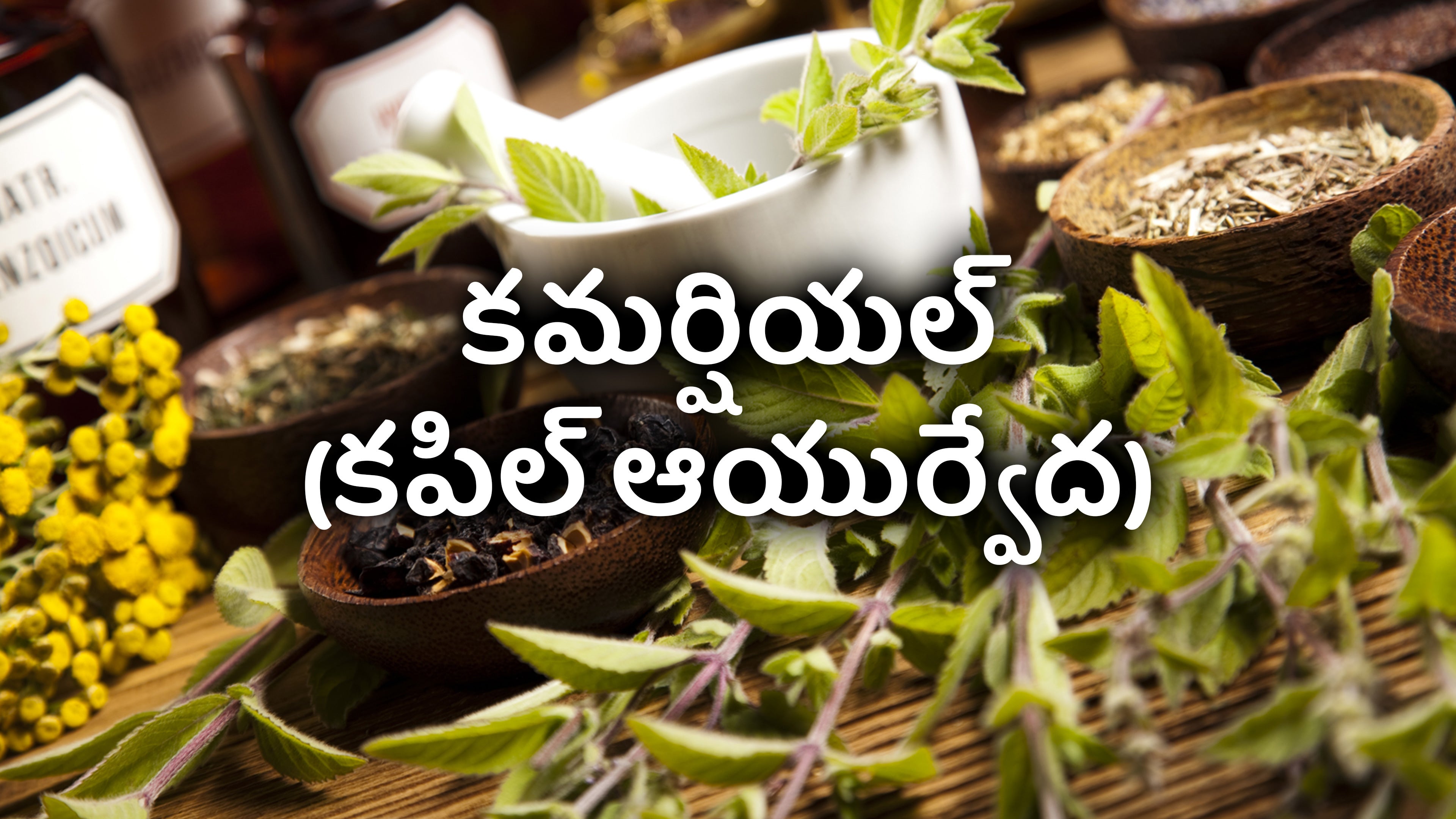 కమర్షియల్ (కపిల్ ఆయుర్వేద)