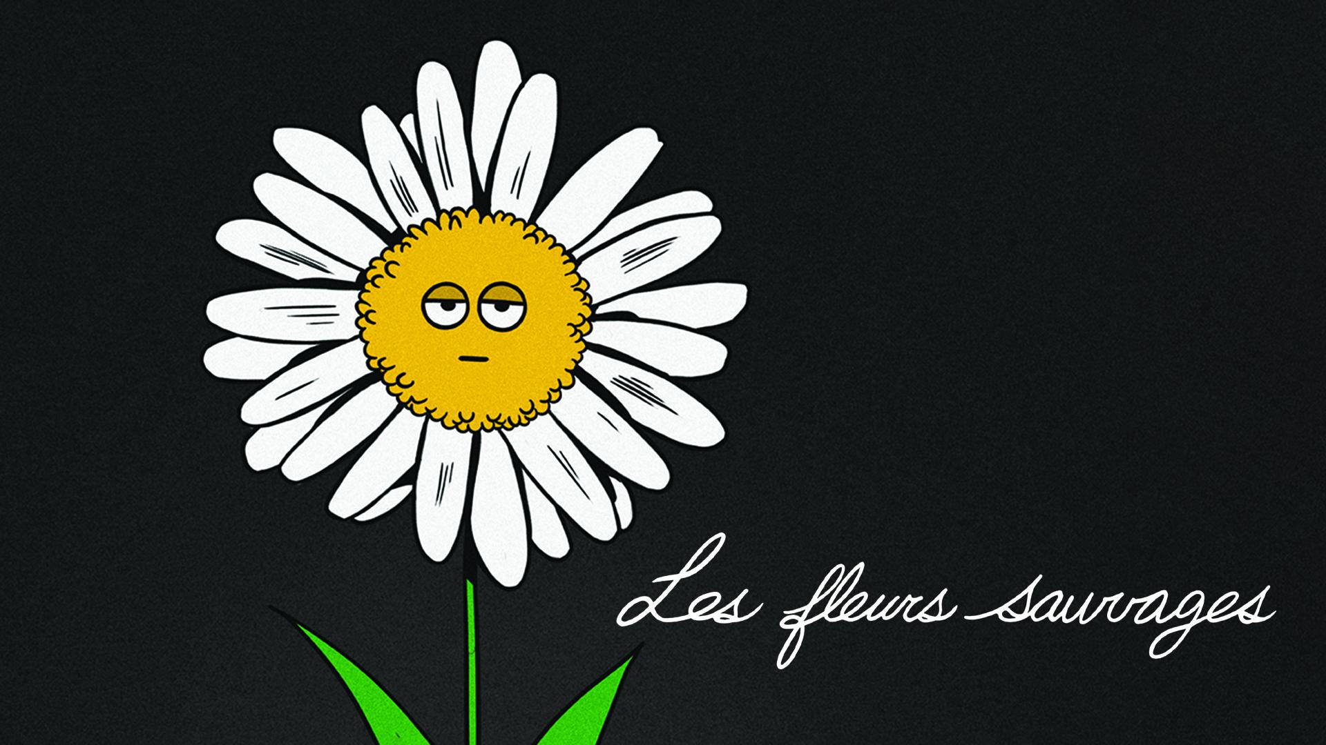 Les fleurs sauvages