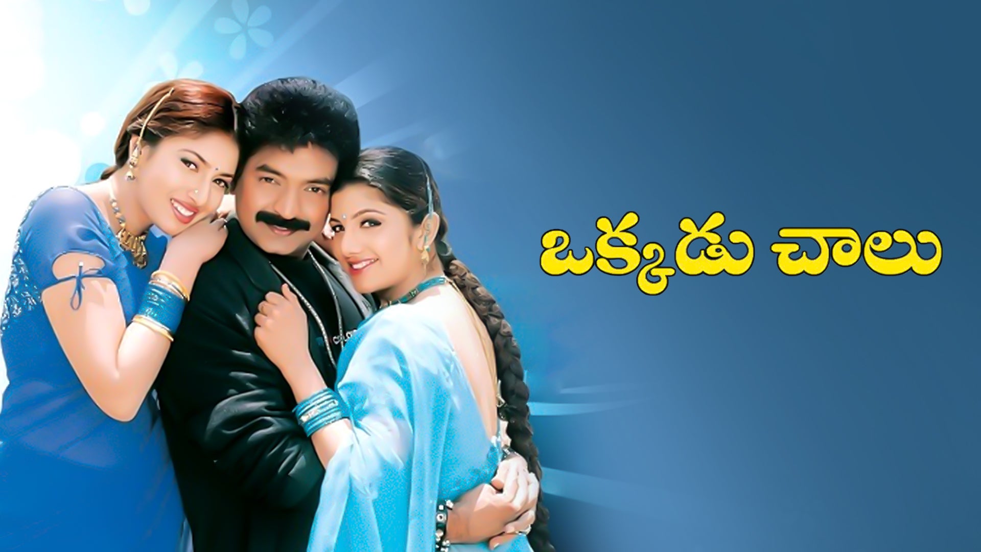 ఒక్కడుచాలు