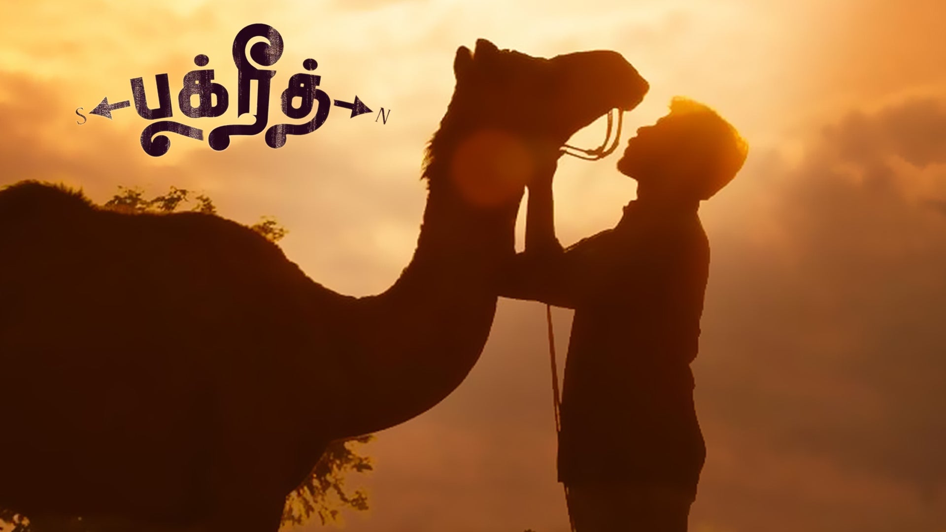 பக்ரித்