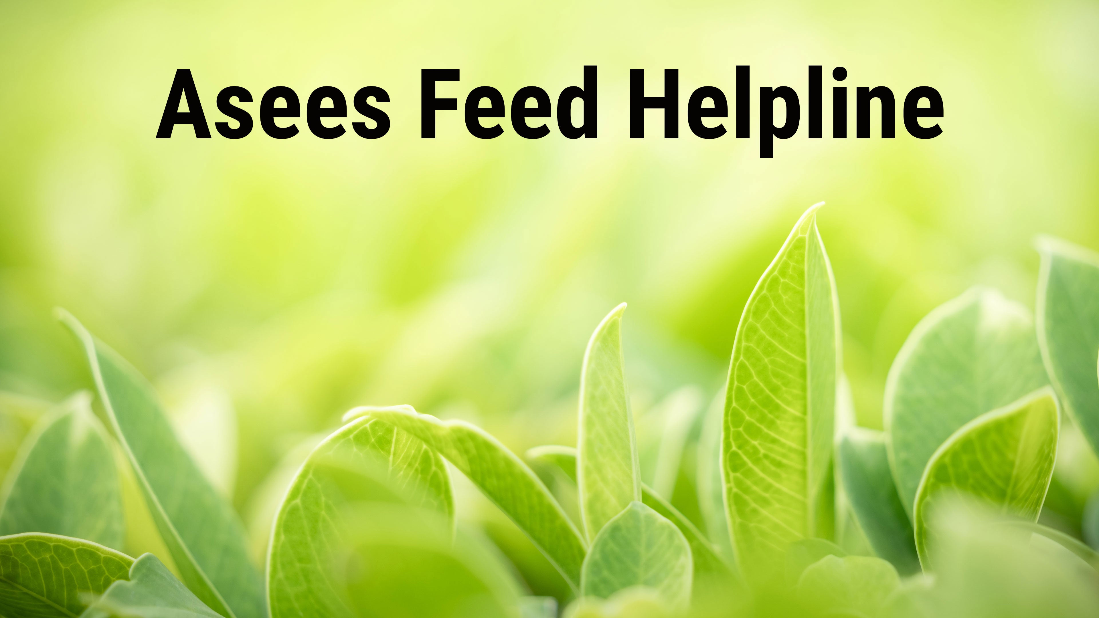 Asees Feed Helpline