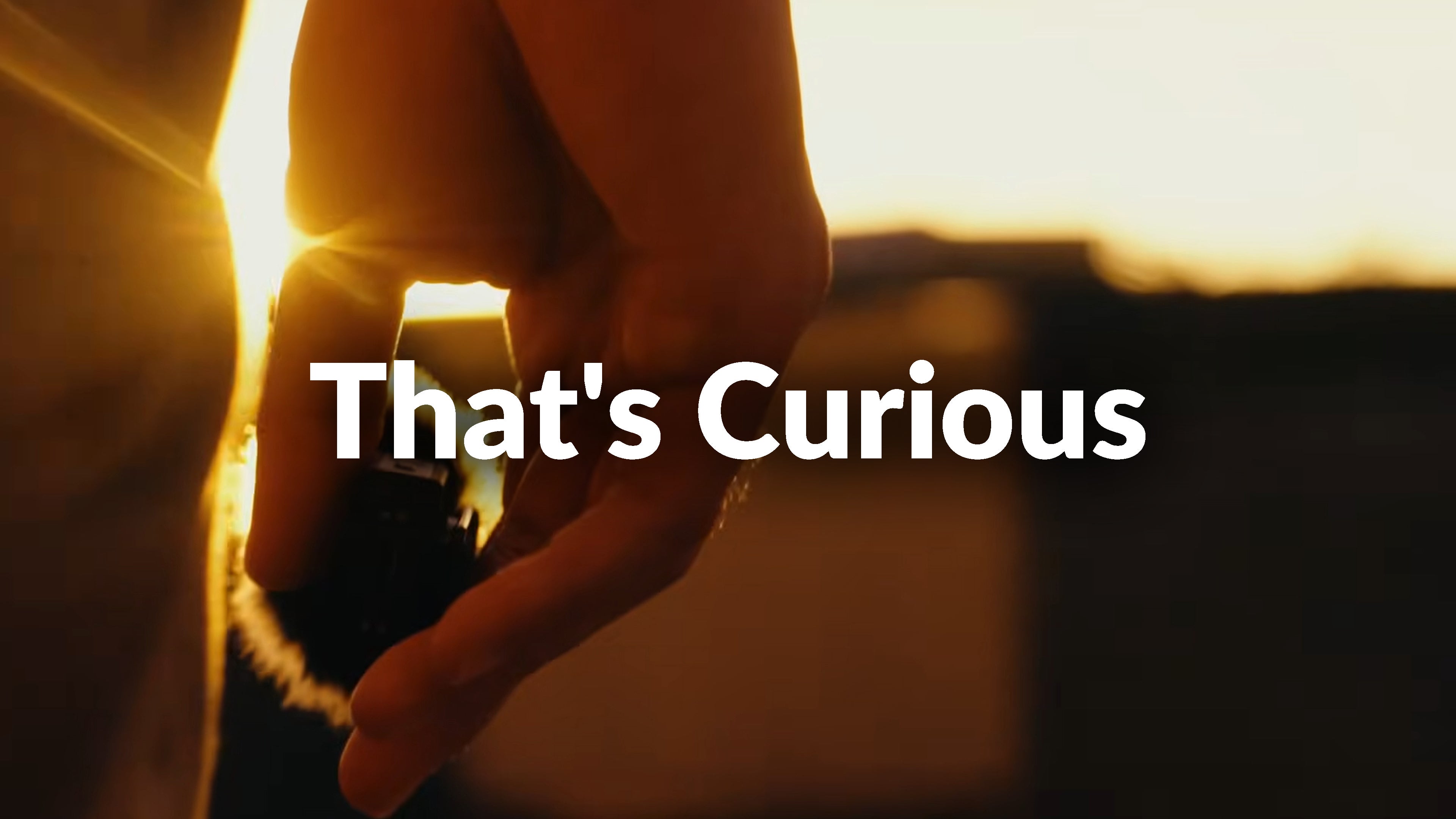 That's Curious