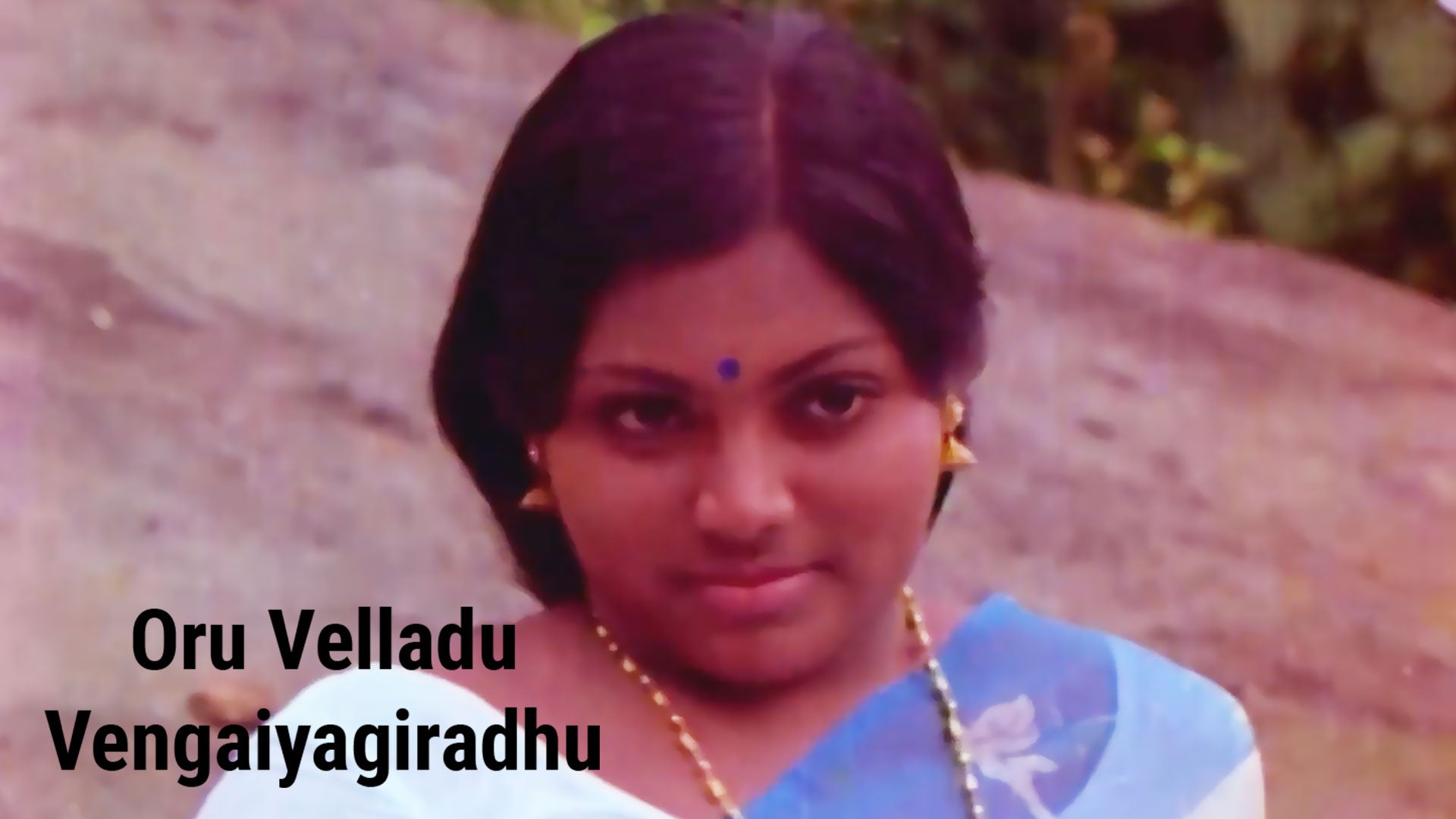 ஒரு வெள்ளாடு வேங்கையாகிறது