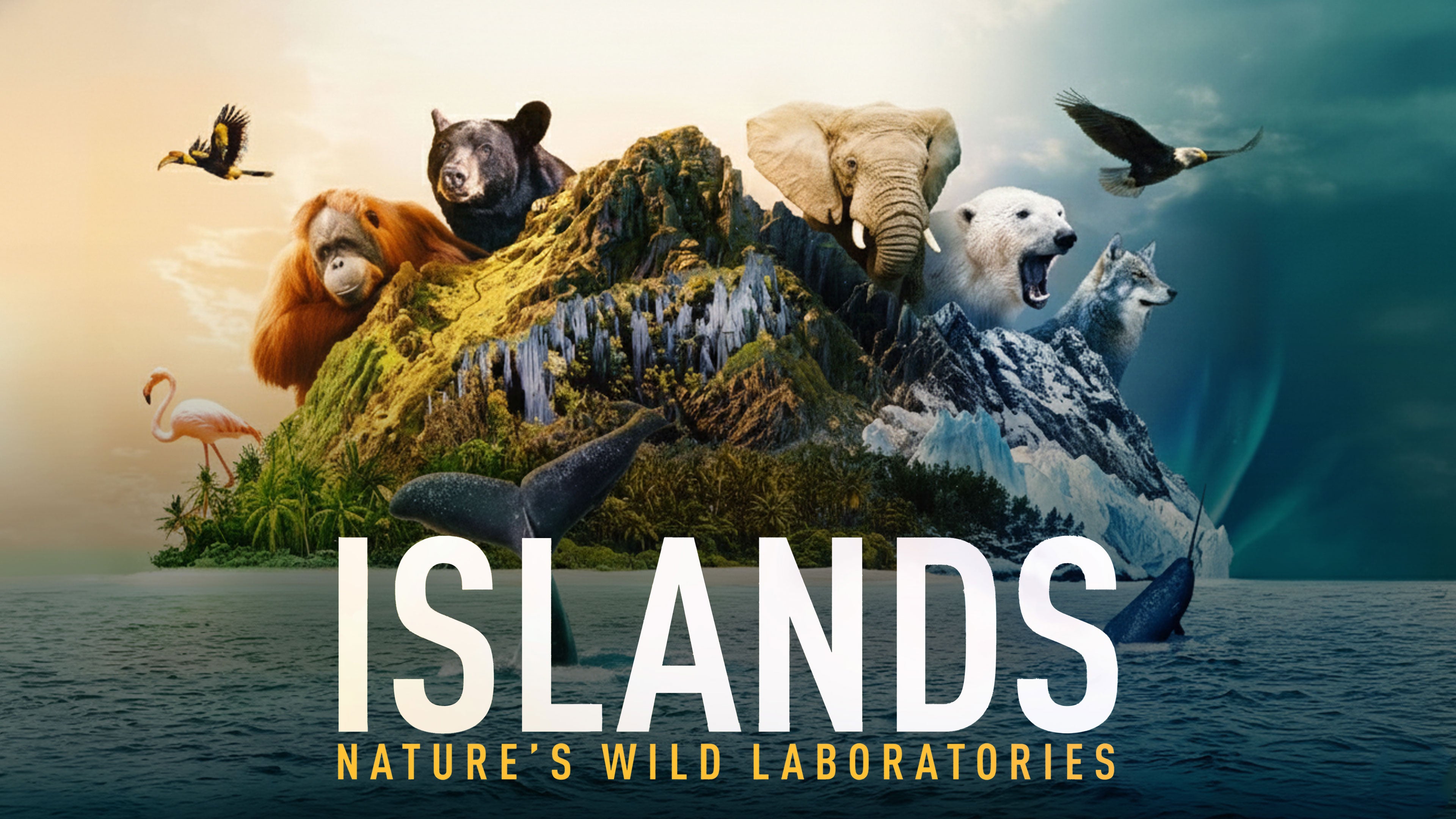 Islands