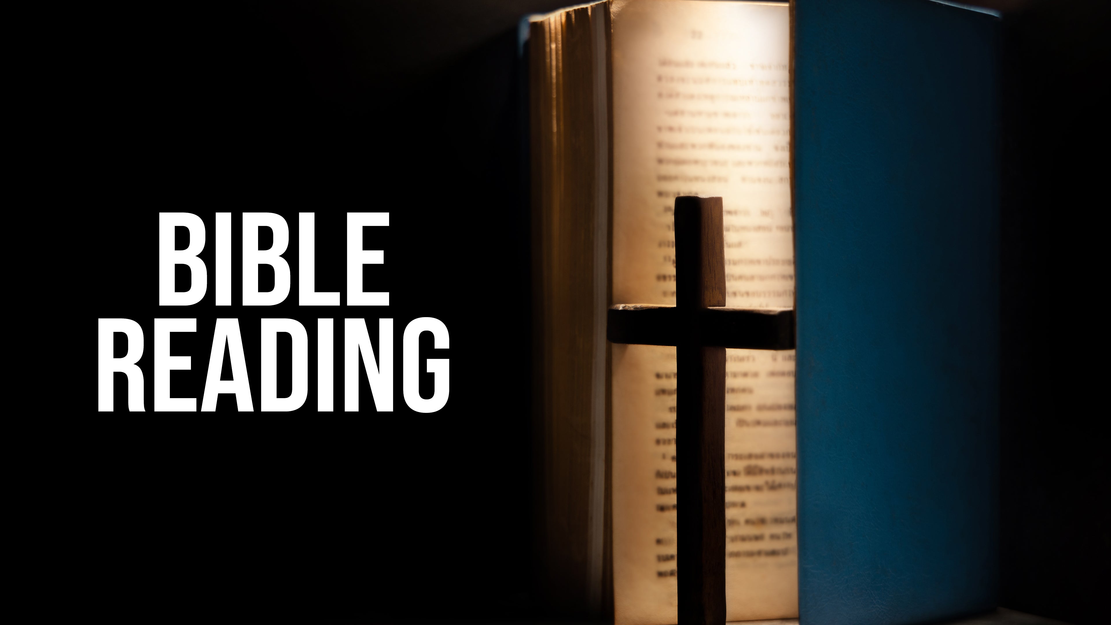 Bible Reading