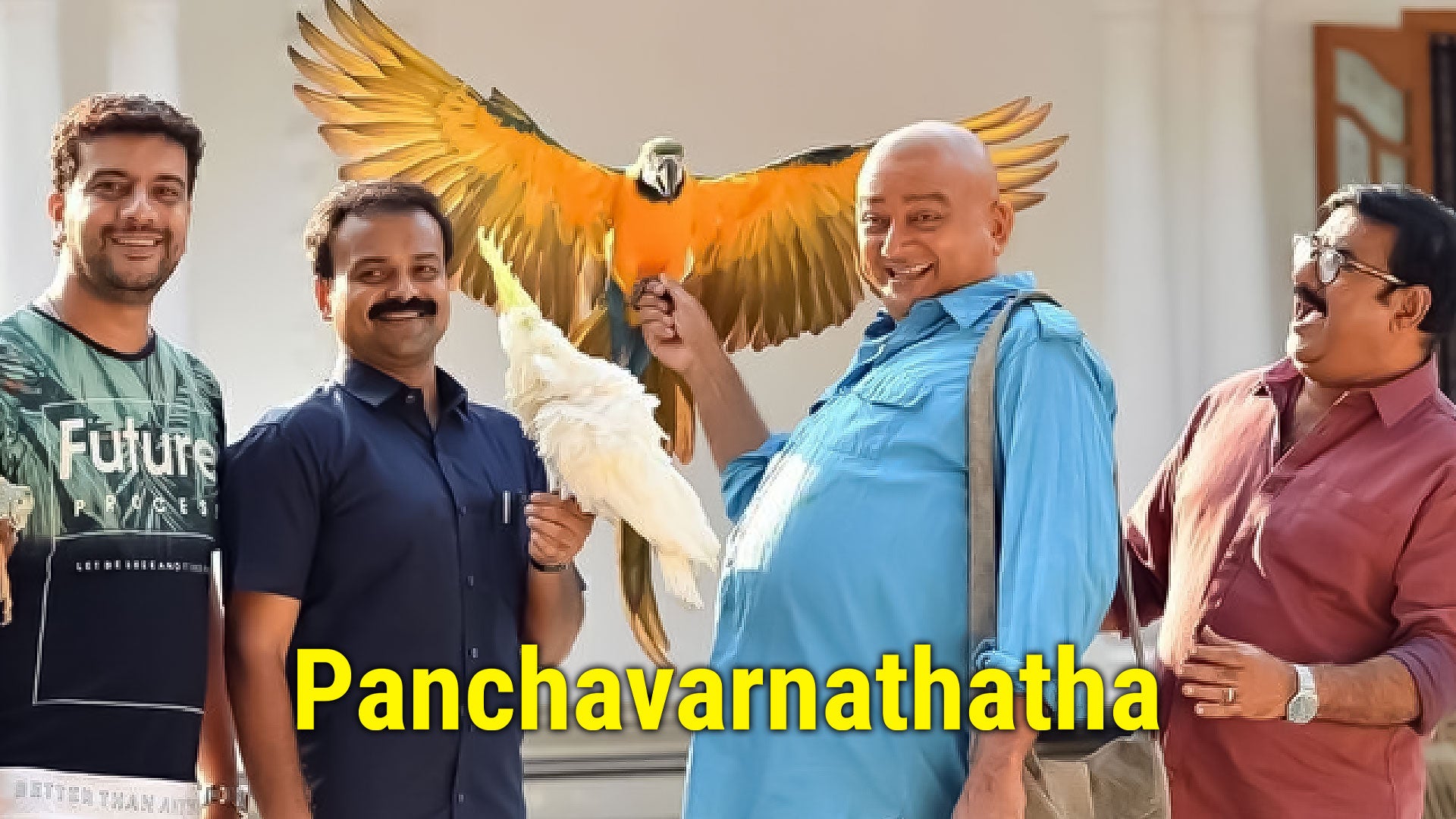 Panchavarnathatha