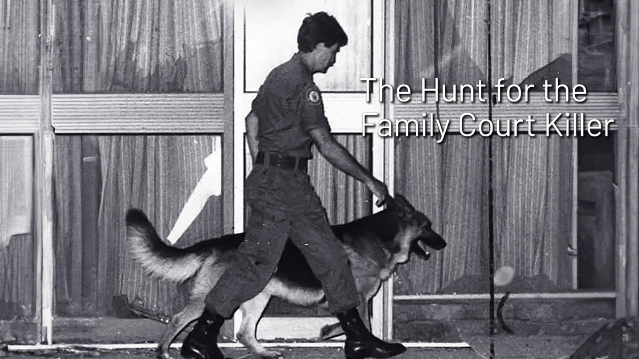 The Hunt for the Family Court Killer
