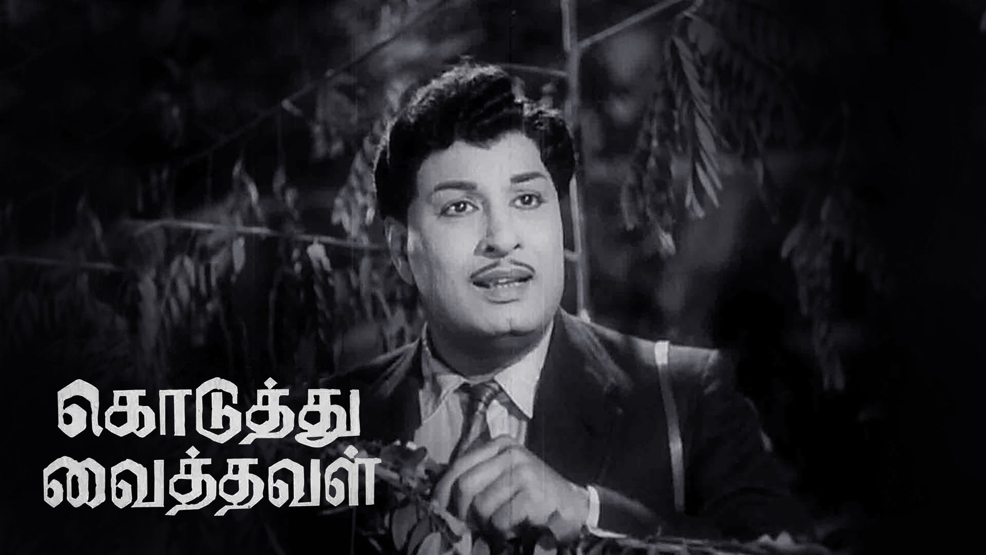 கொடுத்து வைத்தவள்