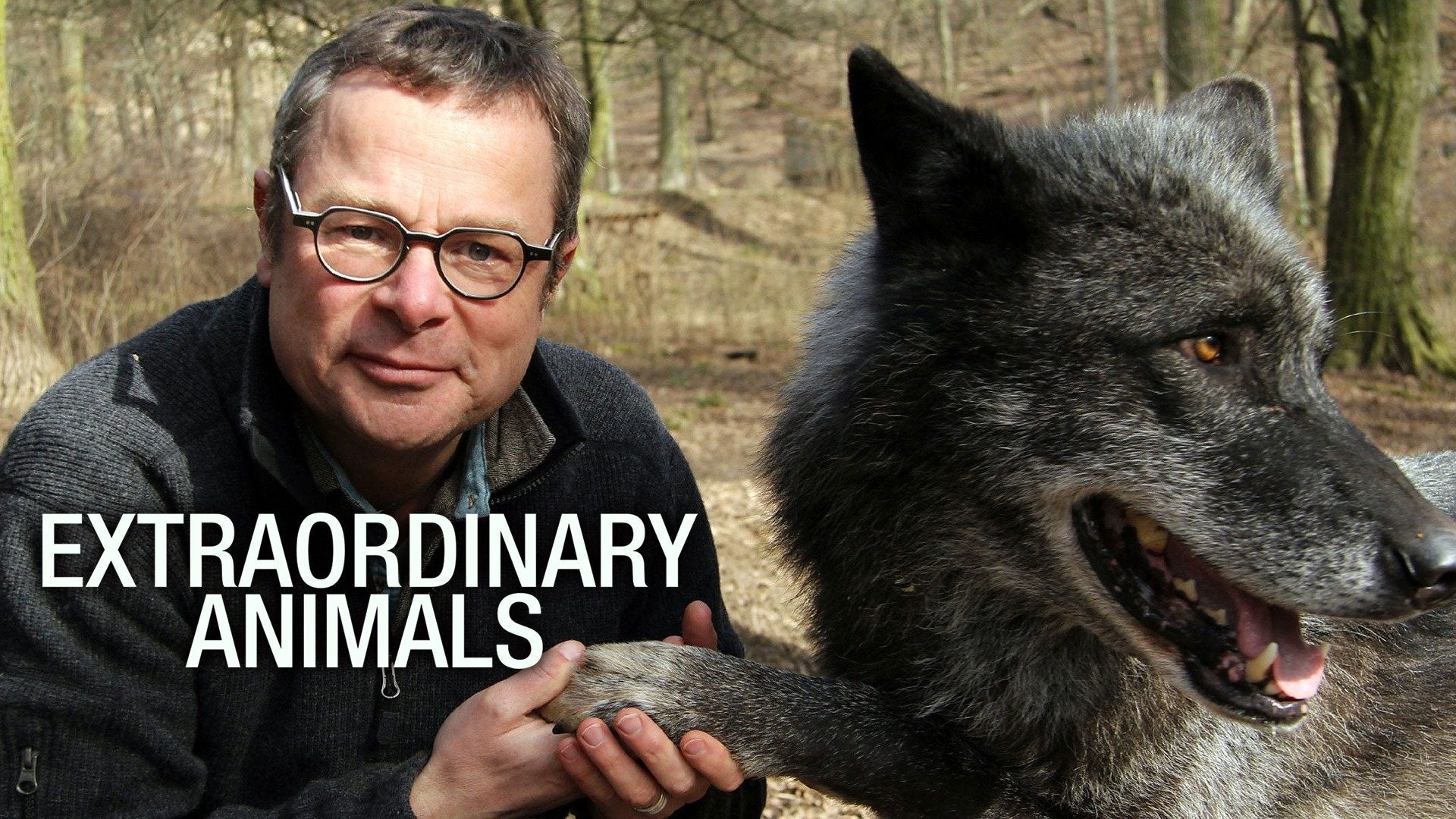 Extraordinary Animals