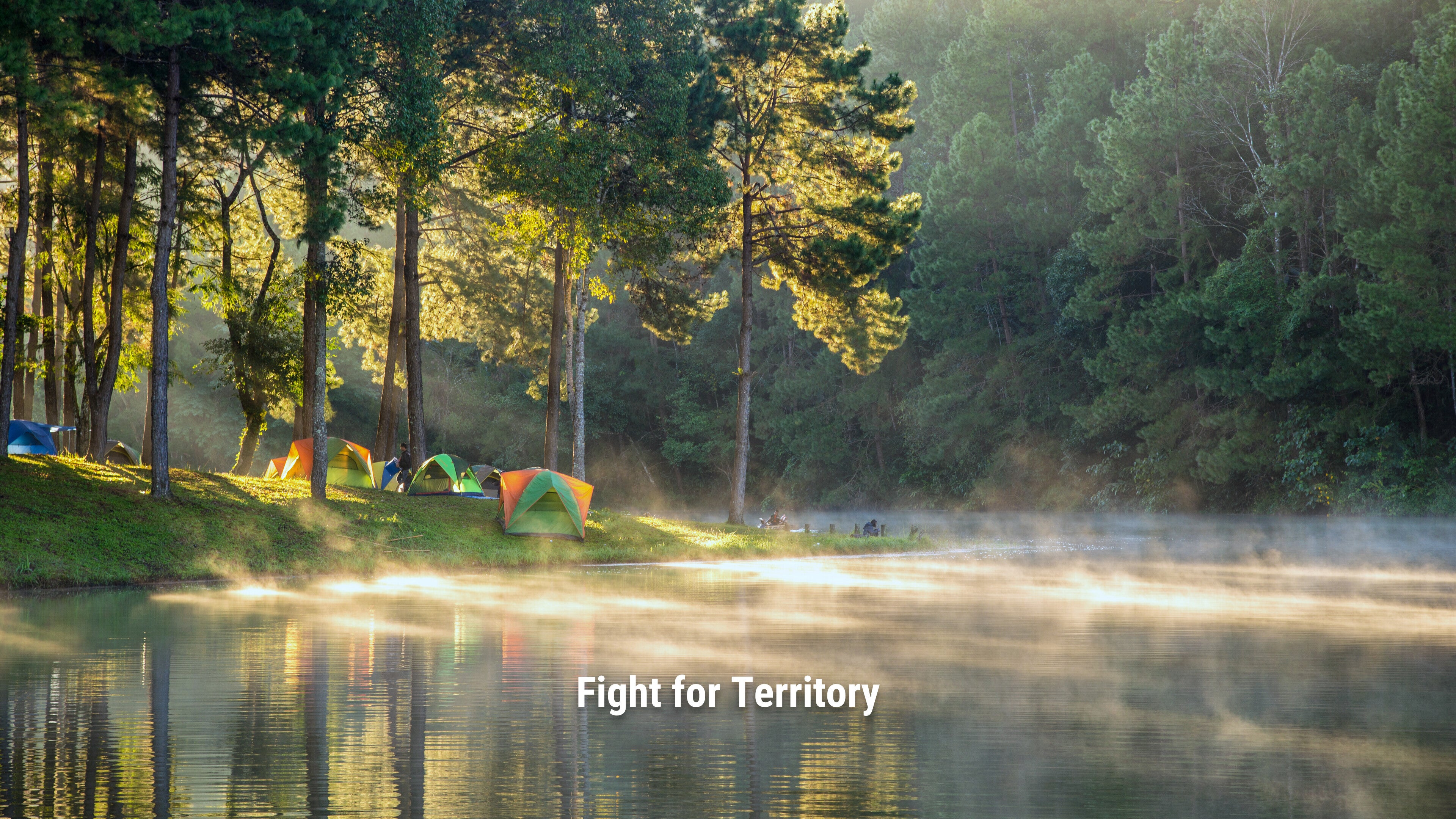 Fight for Territory