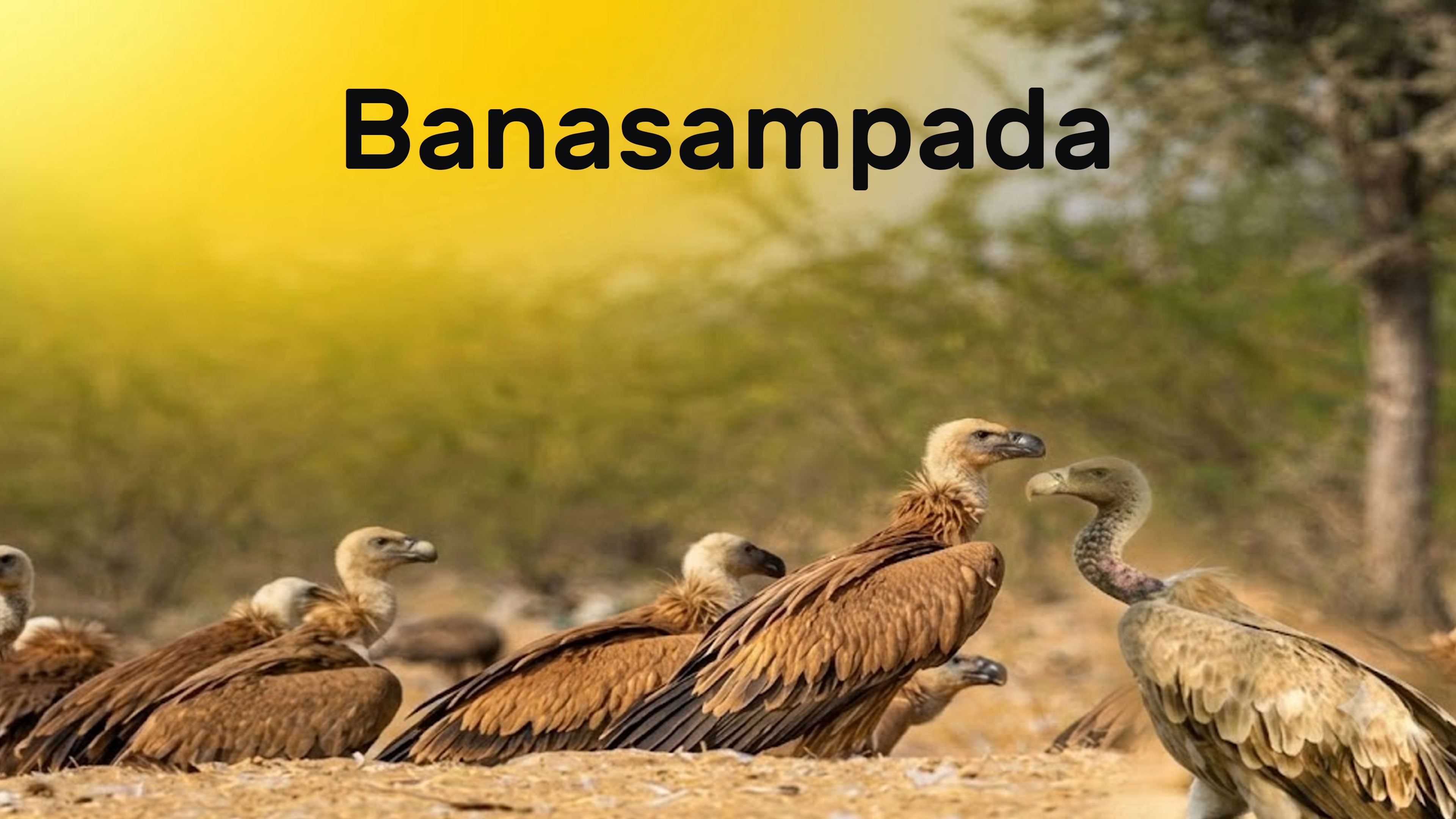 Banasampada