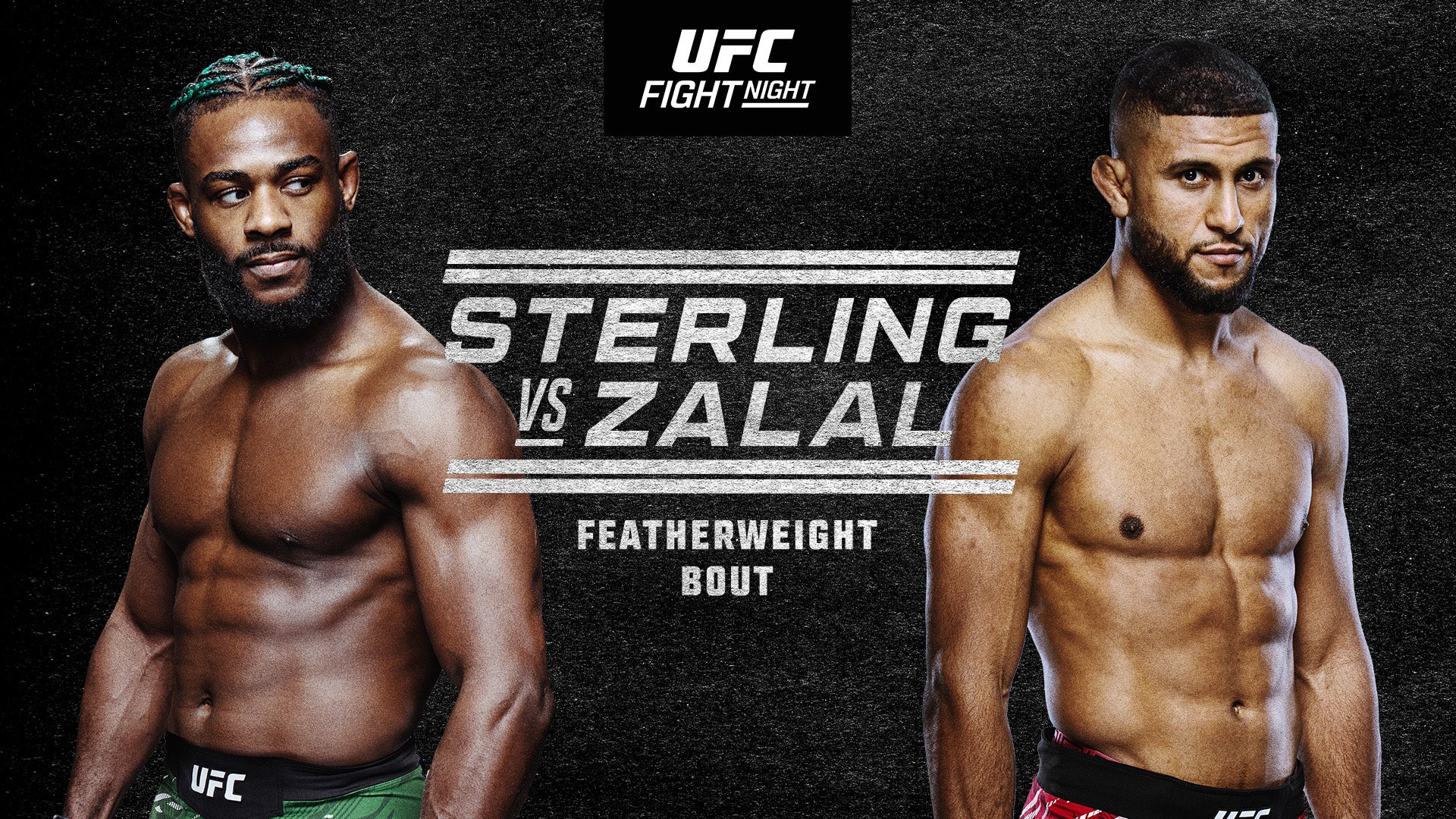 UFC Fight Night: Sterling vs. Zalal