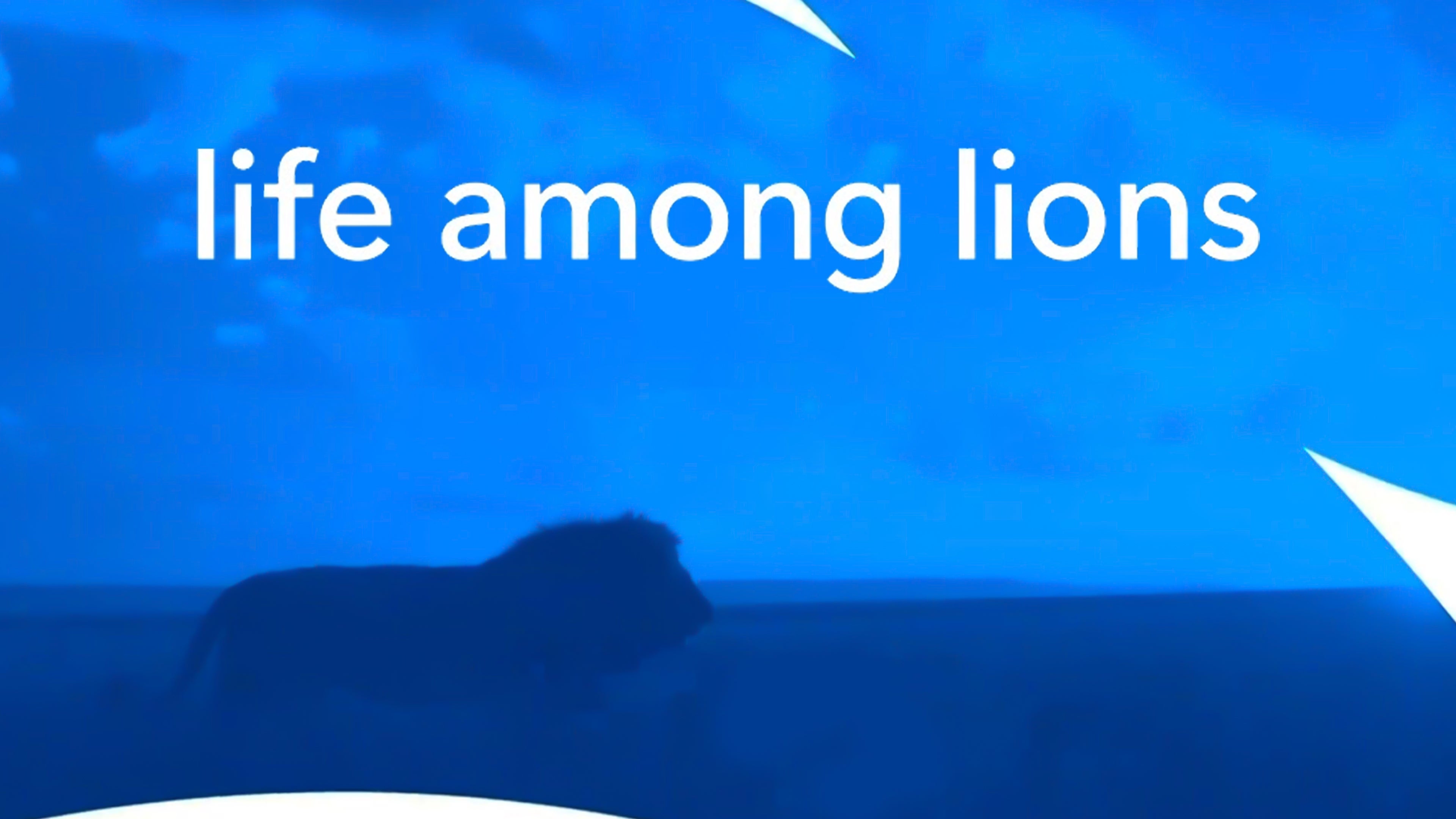 Life Among Lions