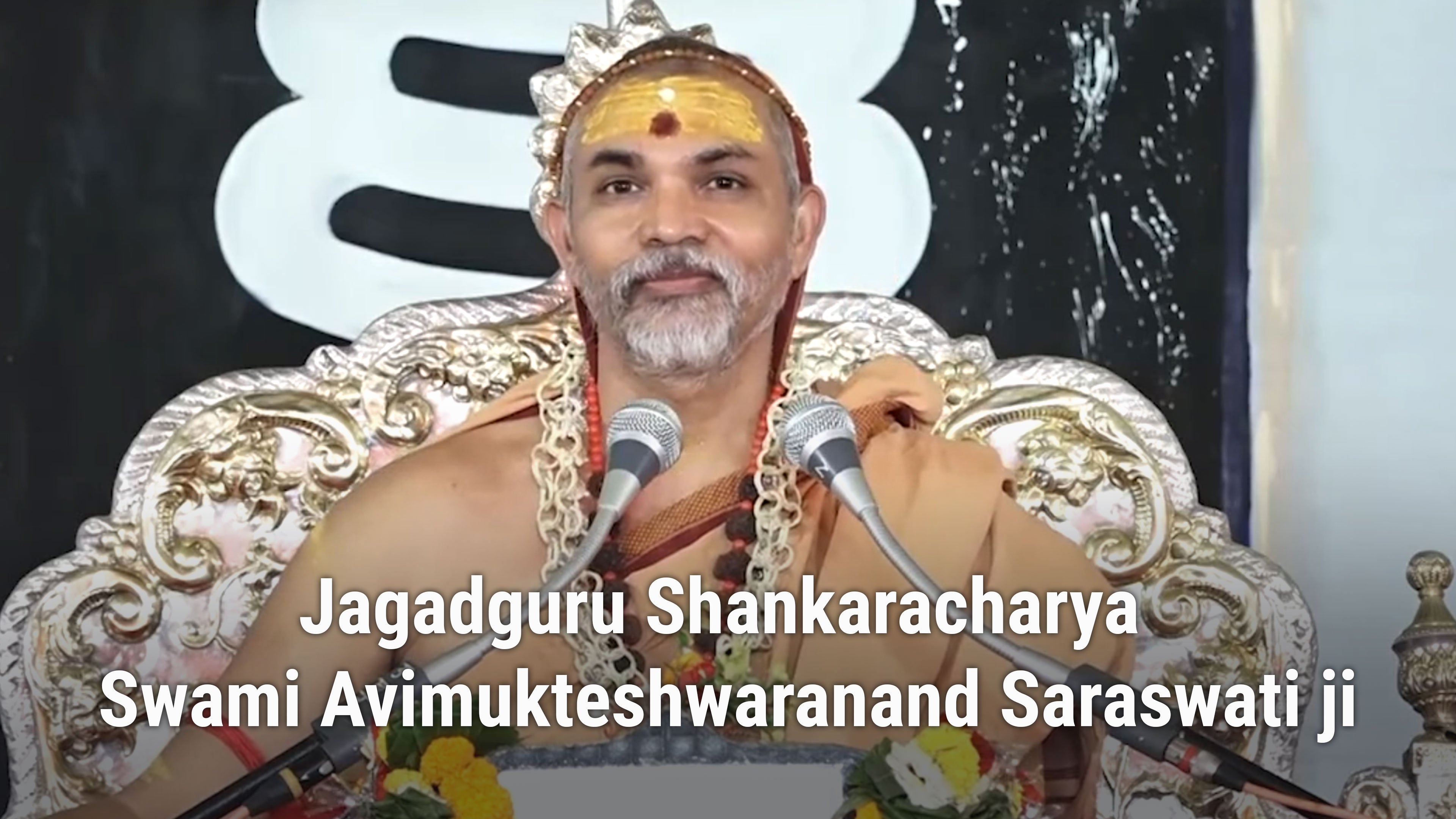 Jagadguru Shankaracharya Swami Avimukteshwaranand Saraswati ji