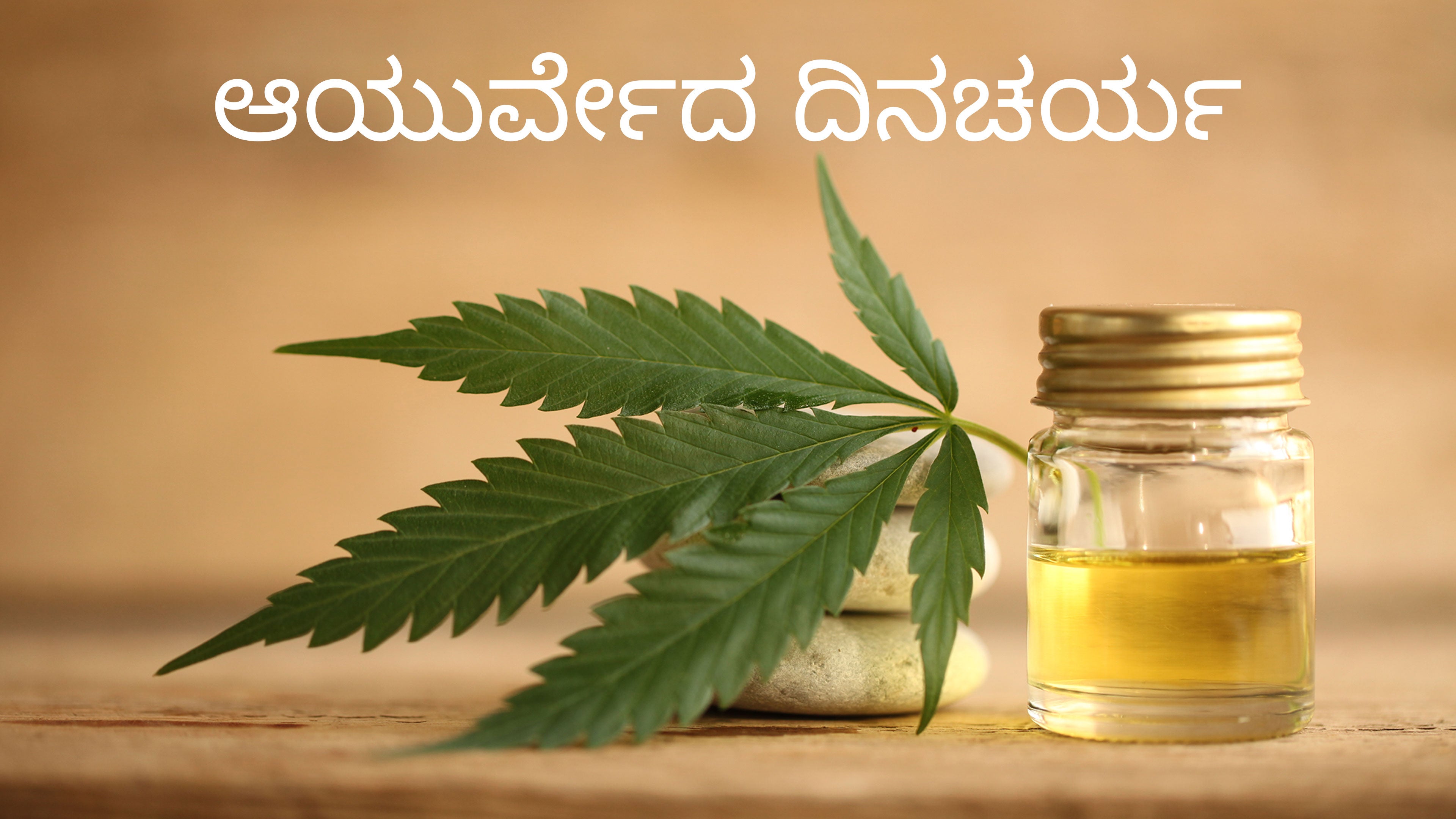 Ayurveda Dincharya