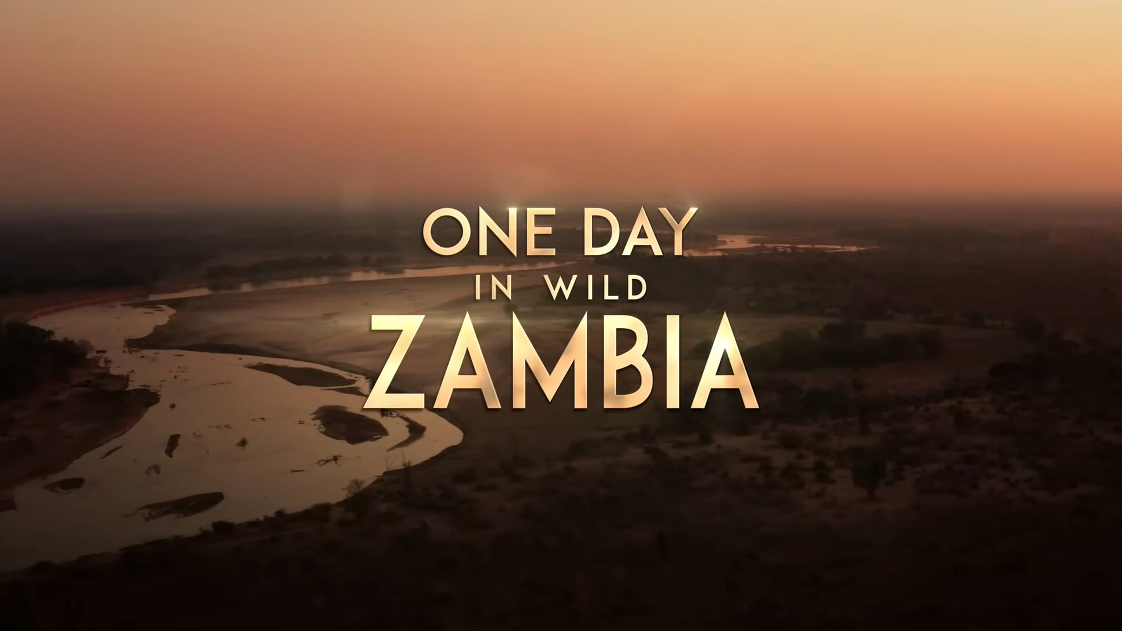 One Day in Wild Zambia