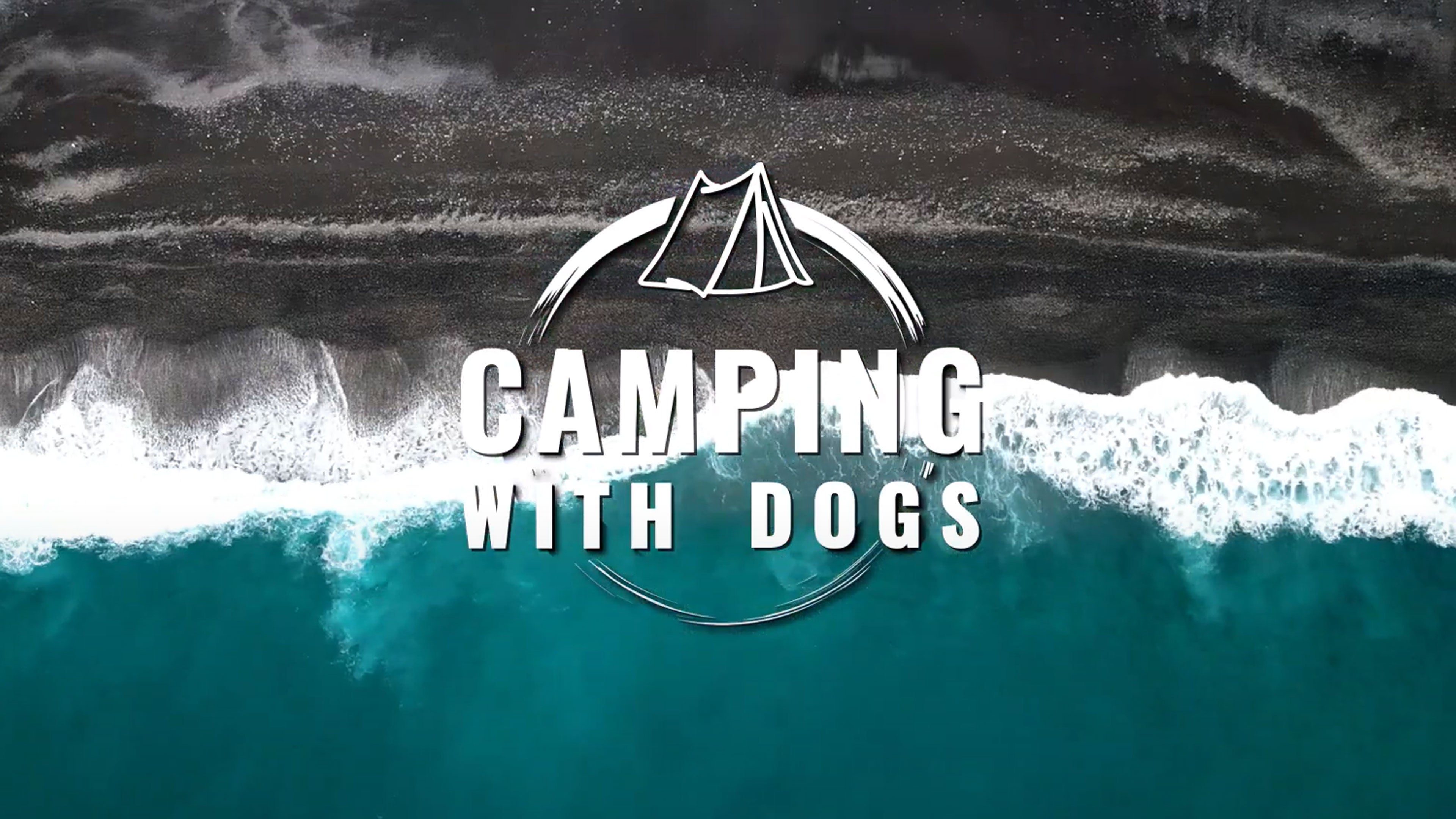 Camping With Dogs