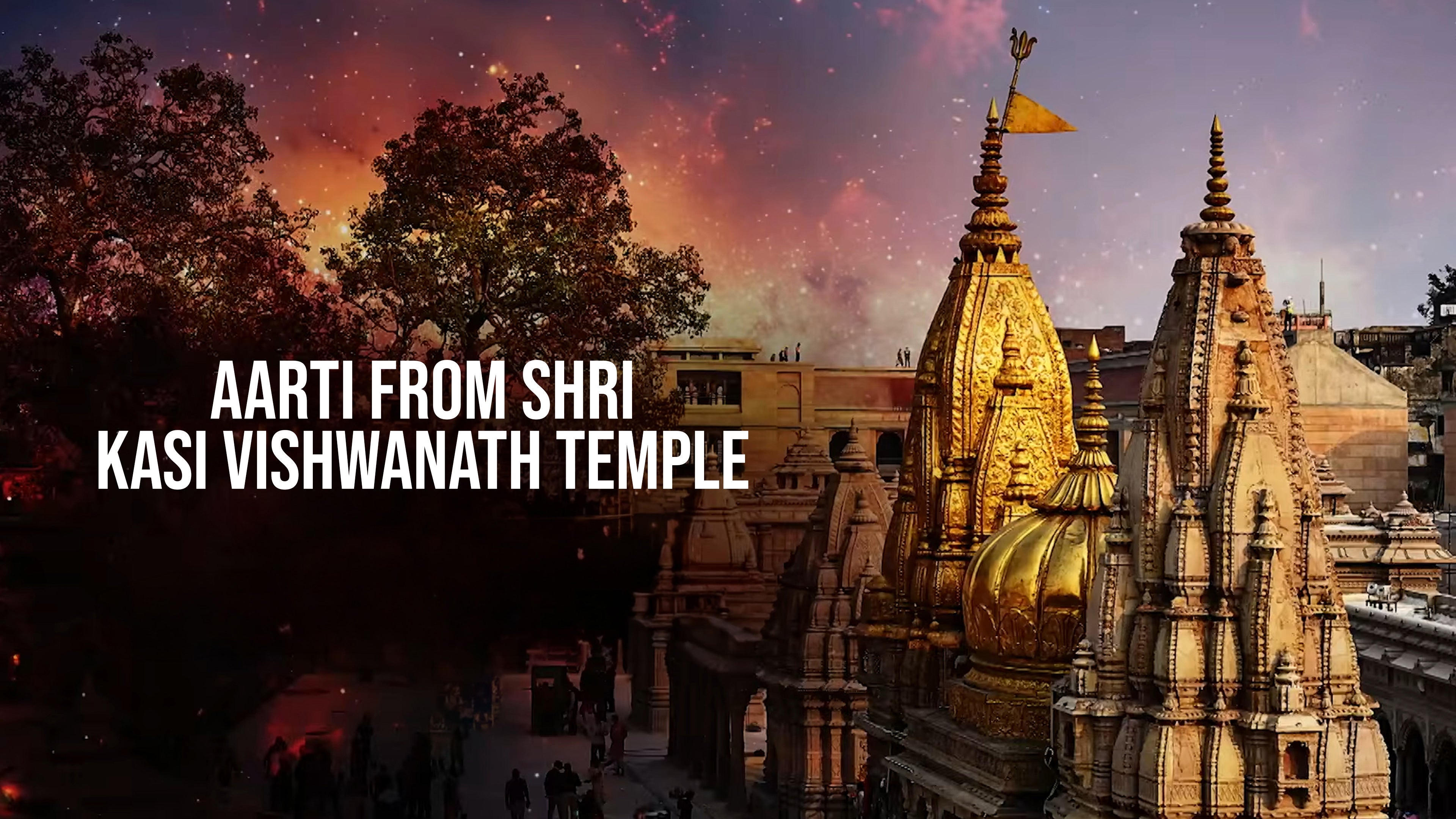 Aarti From Shri Kasi Vishwanath Temple