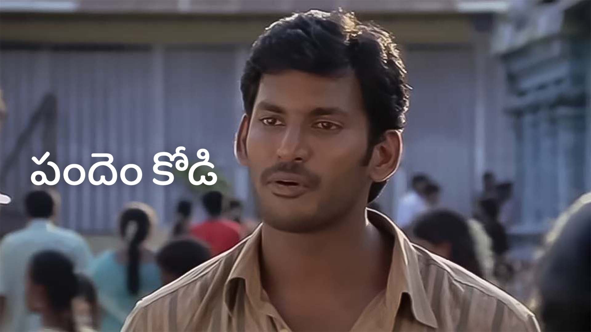 పందెం కోడి