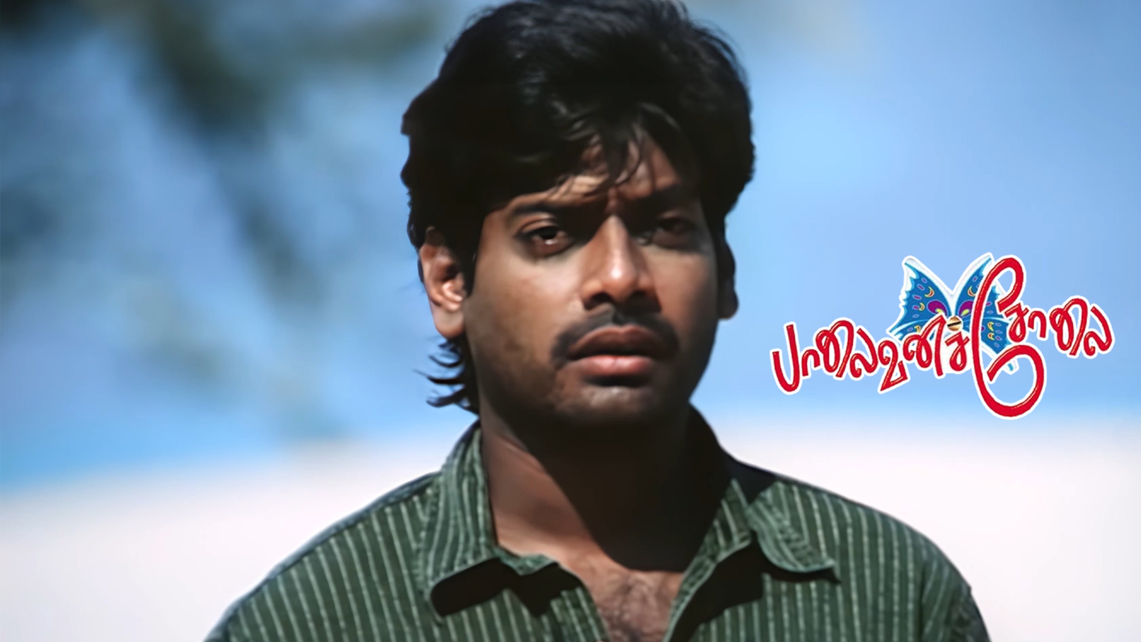 பாலைவன சோலை