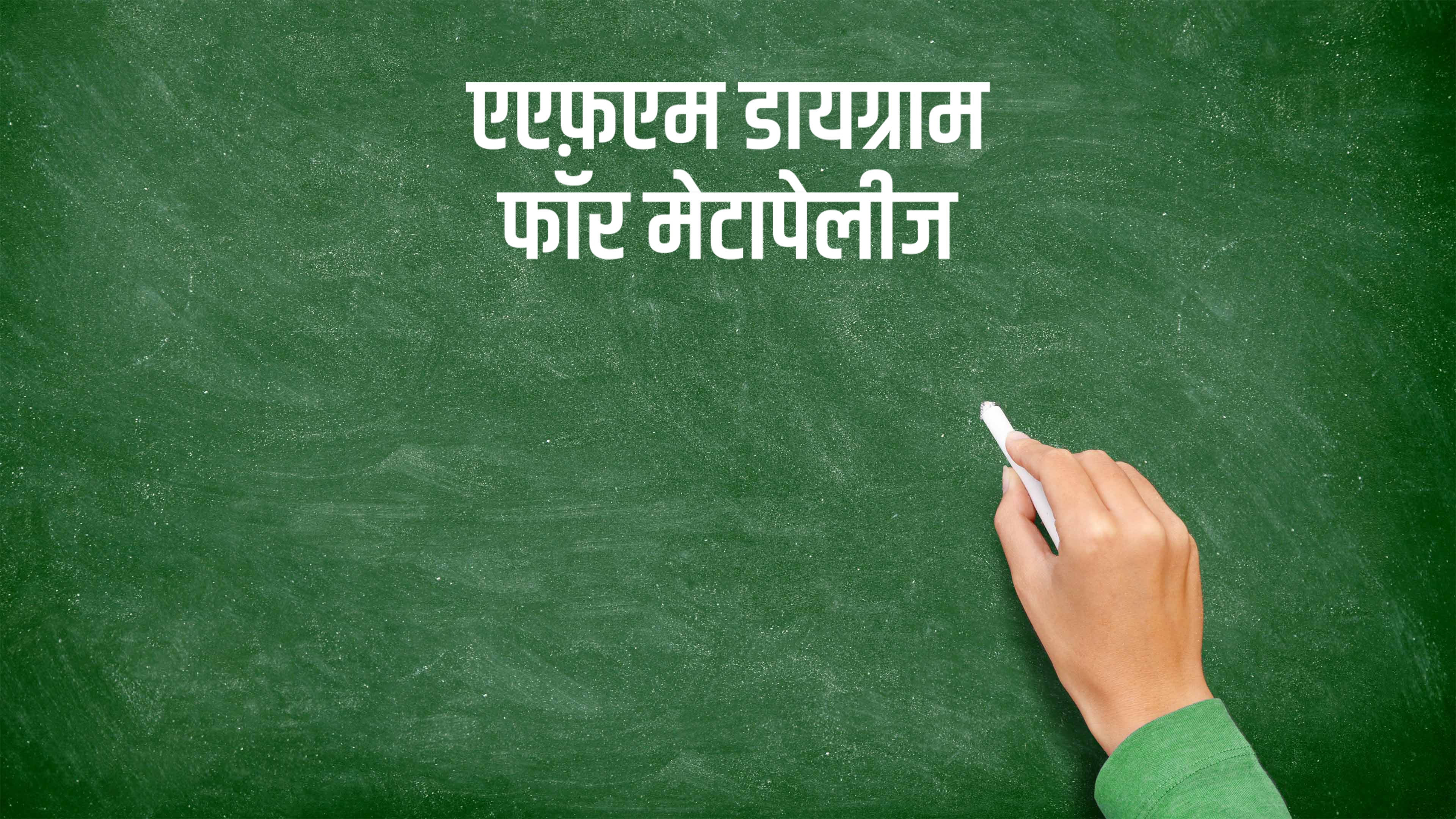 एएफ़एम डायग्राम फॉर मेटापेलीज