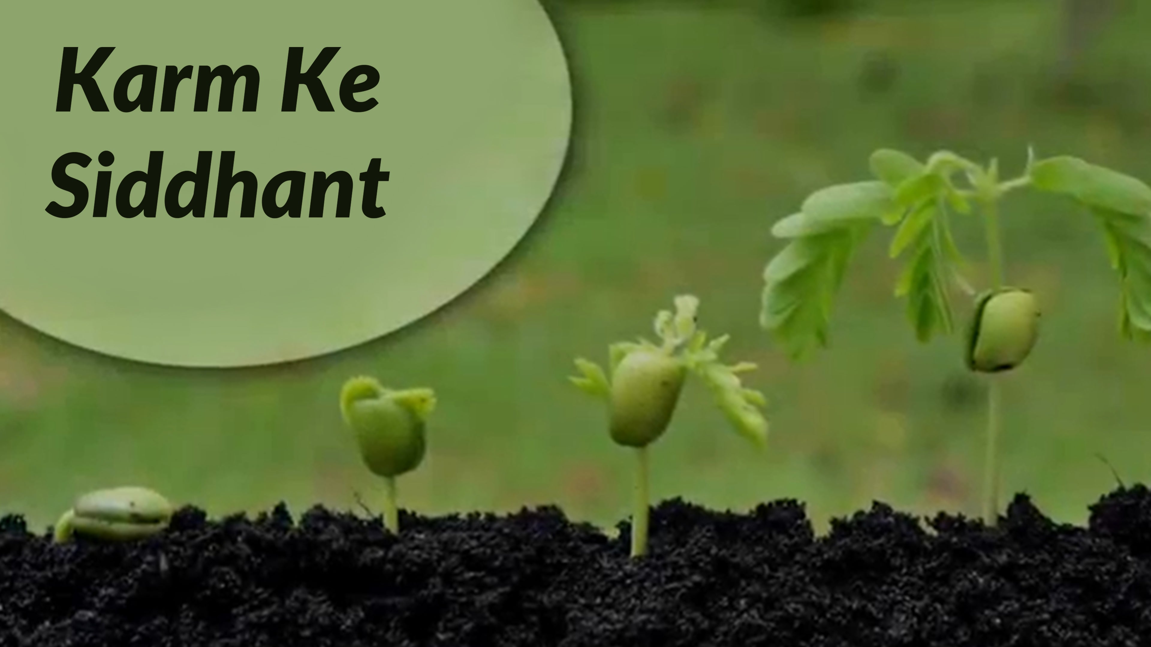 कर्म के सिद्धांत