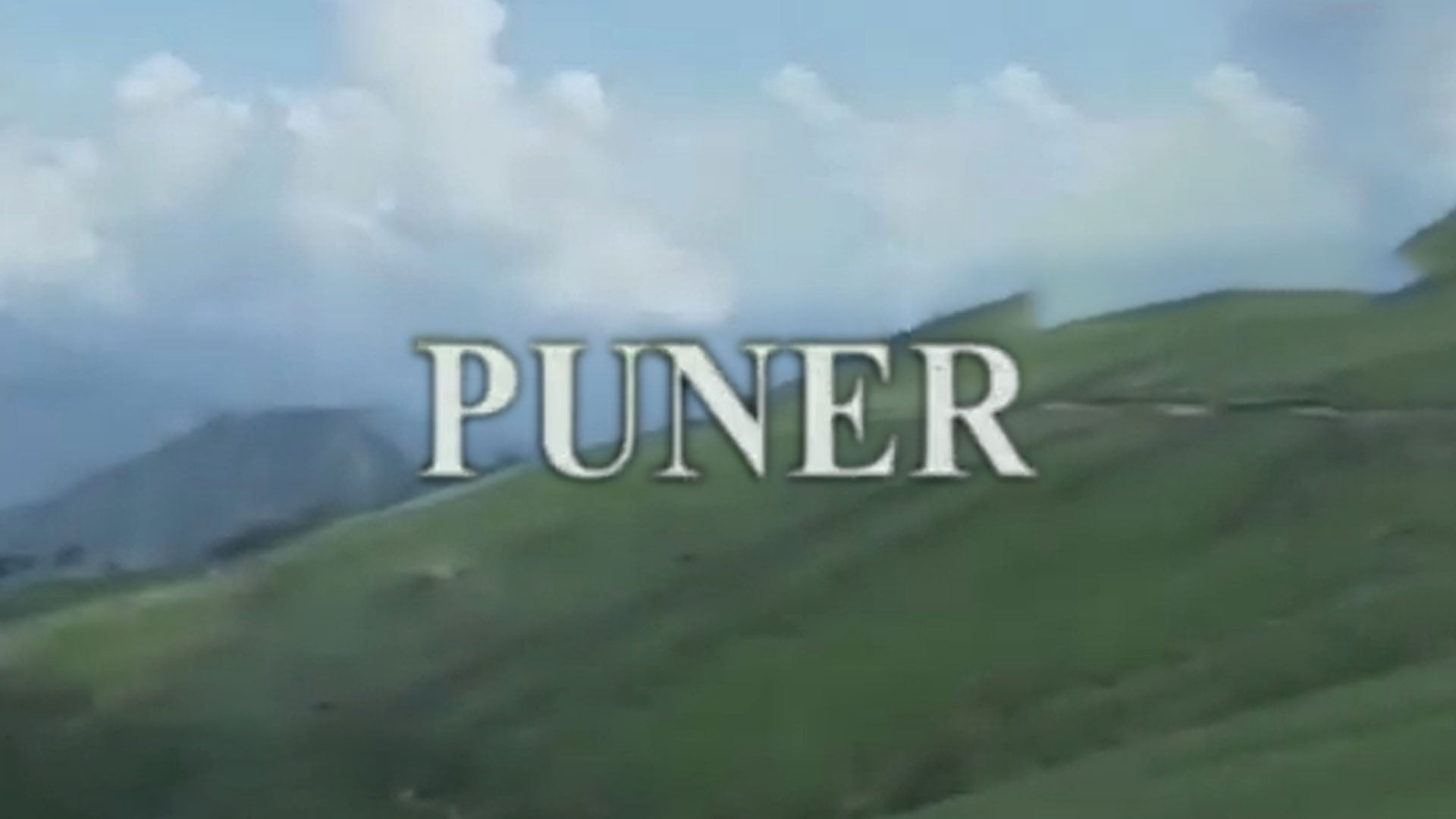 Punner