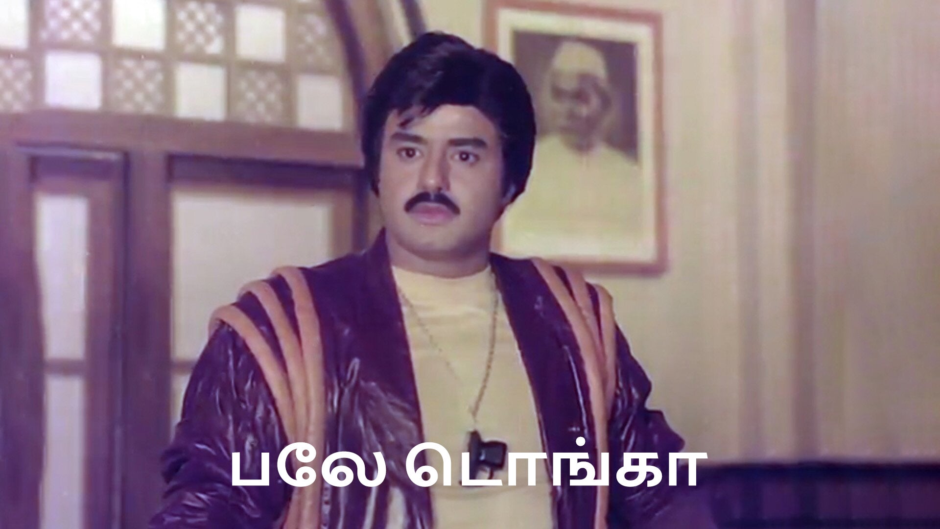 భలే దొంగ